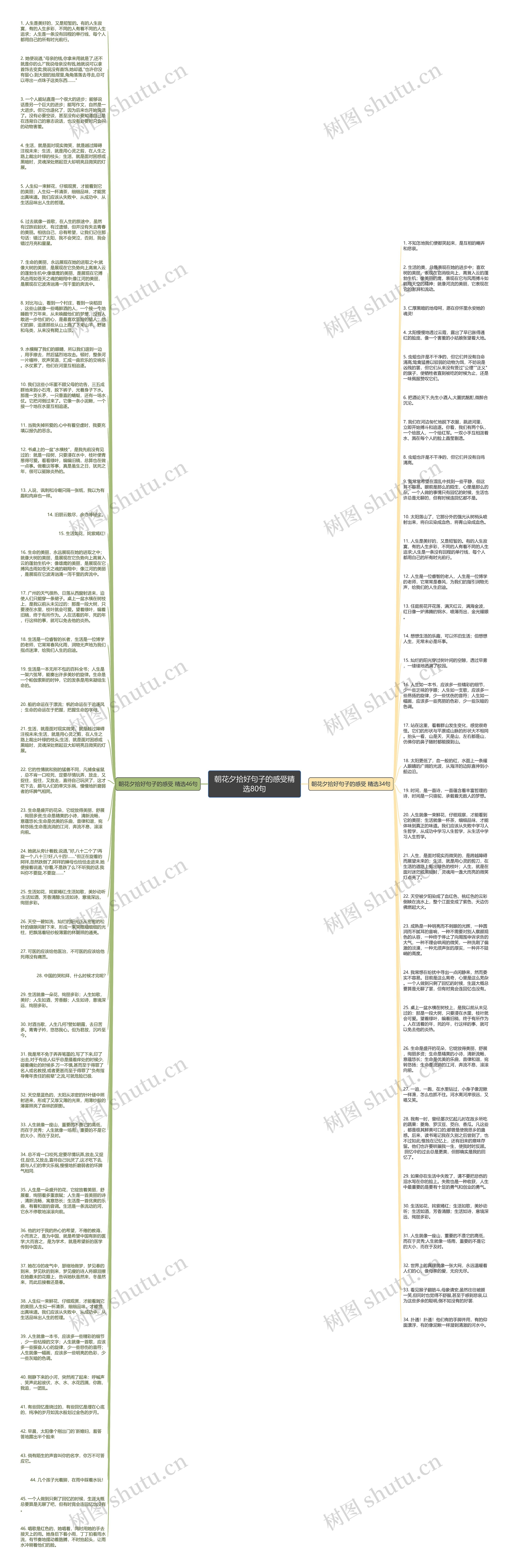 朝花夕拾好句子的感受精选80句思维导图高清图 朝花夕拾好句子的感受精选80句思维导图