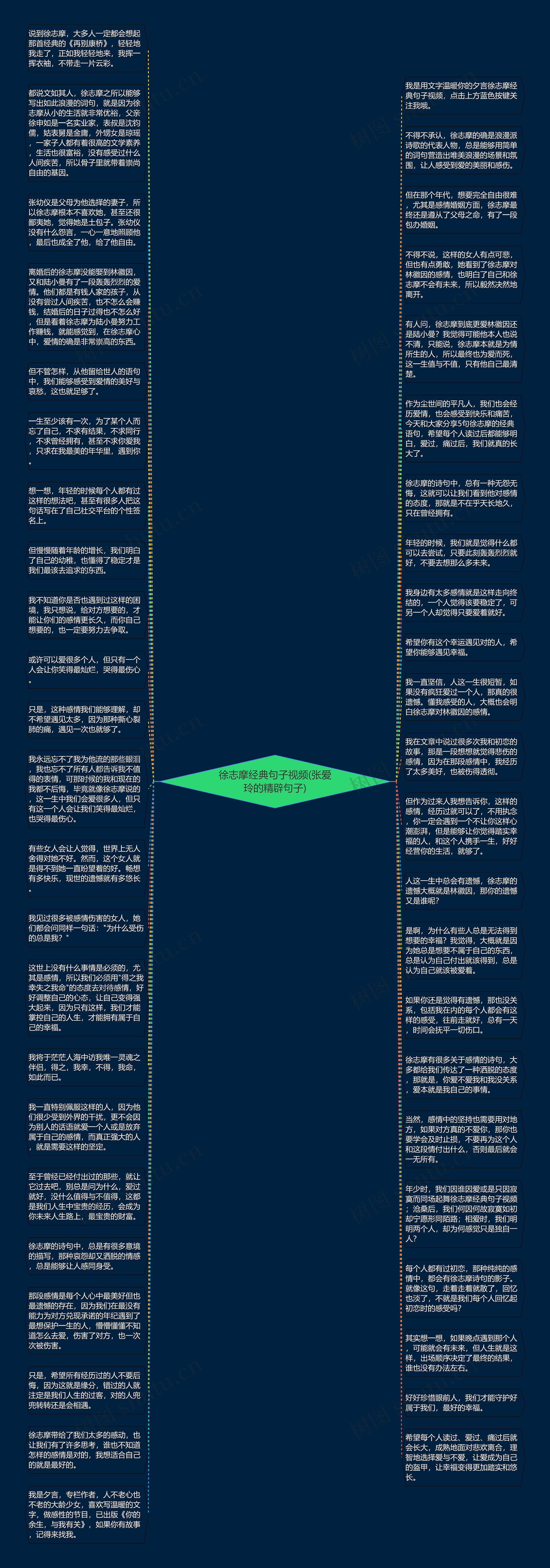 徐志摩经典句子视频(张爱玲的精辟句子)