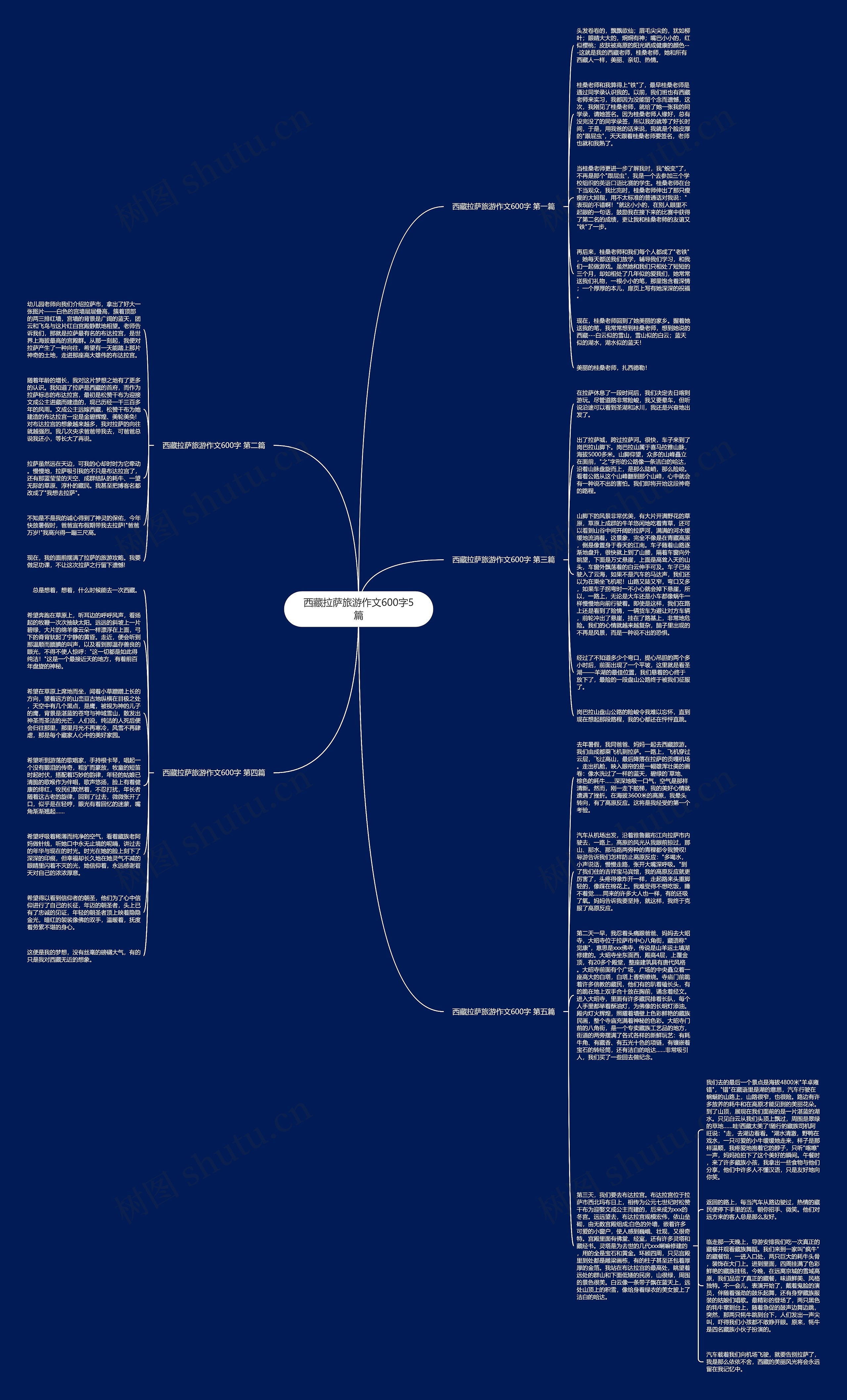 西藏拉萨旅游作文600字5篇思维导图