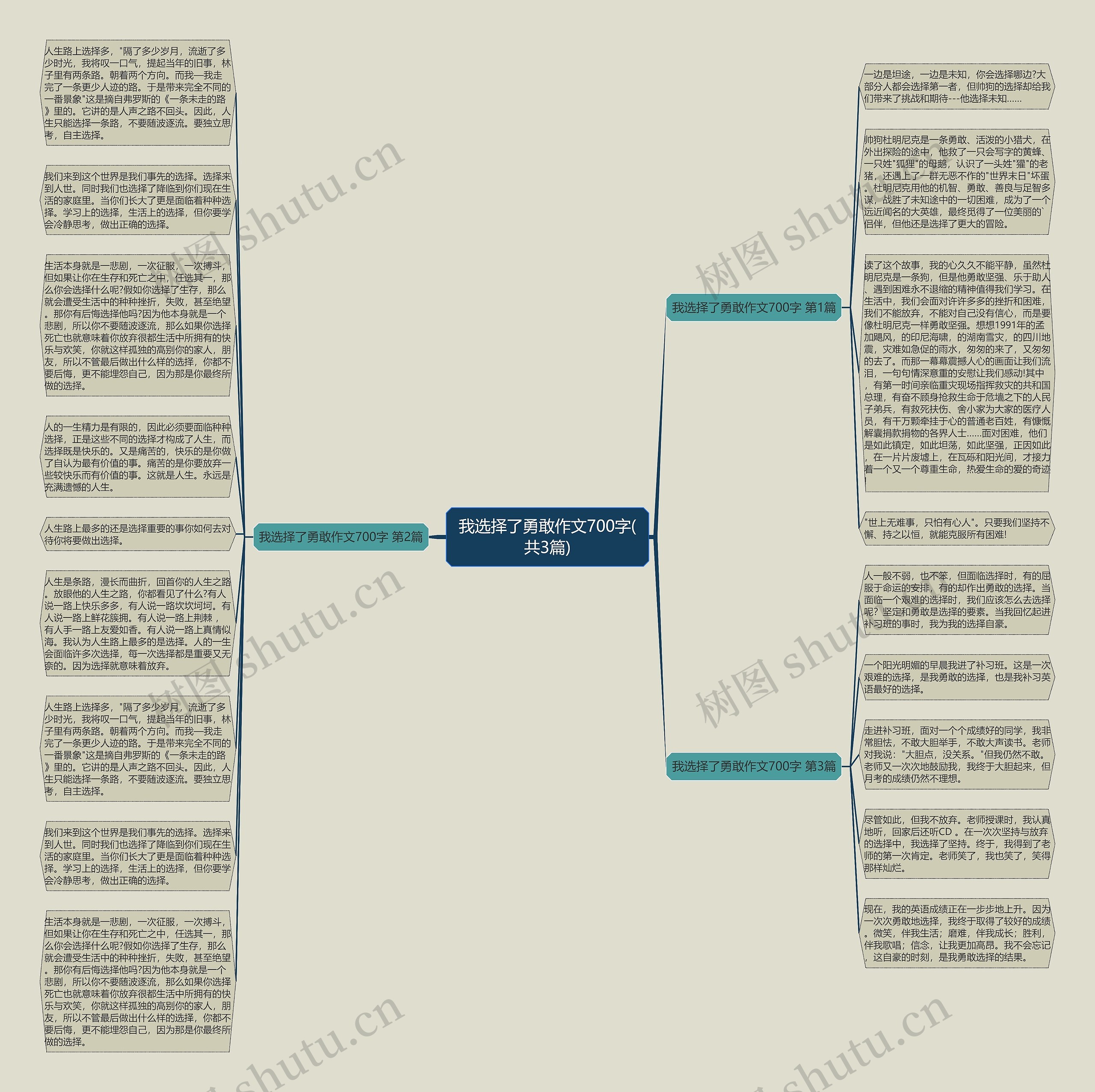 我选择了勇敢作文700字(共3篇)思维导图