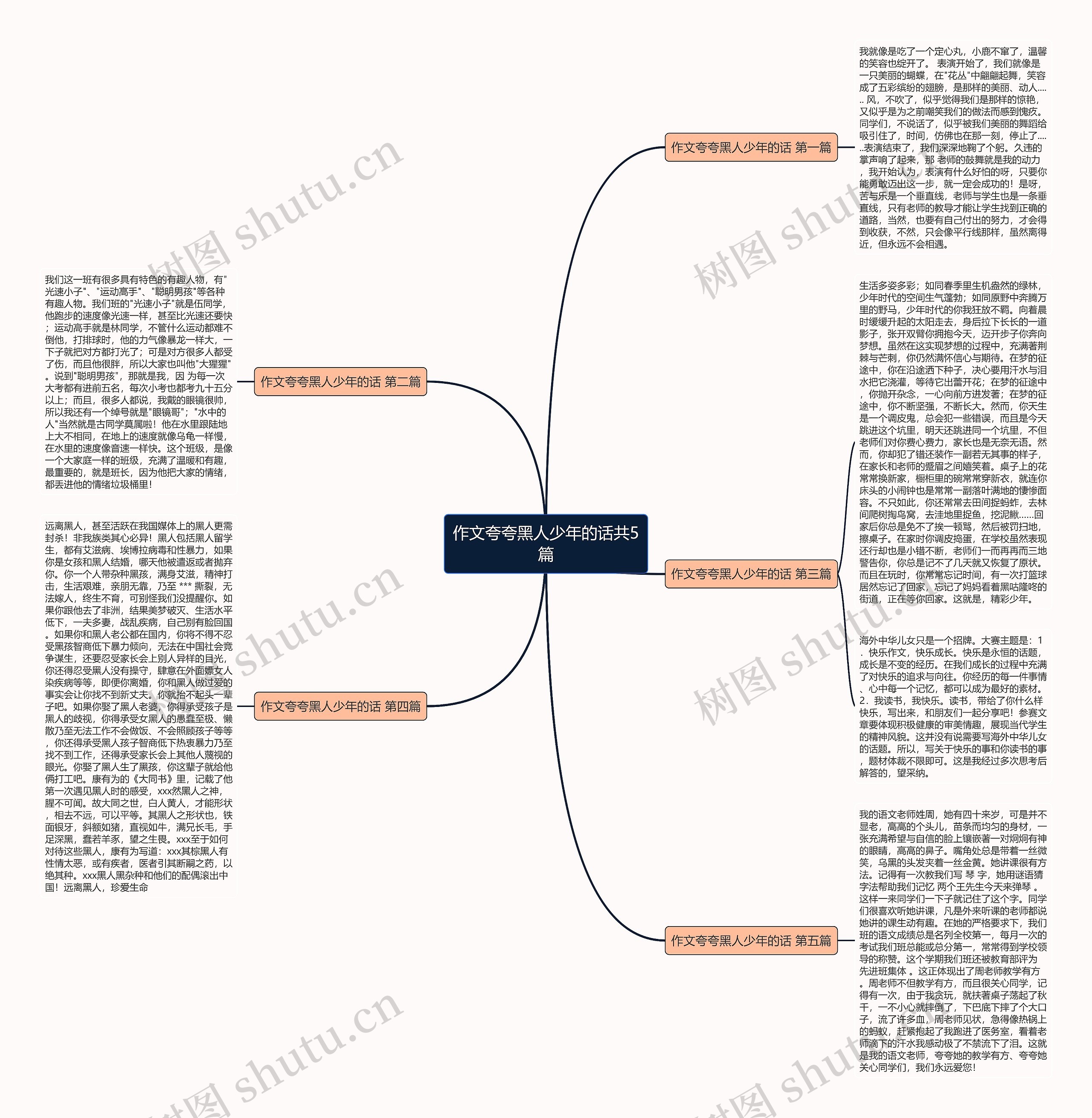 作文夸夸黑人少年的话共5篇思维导图