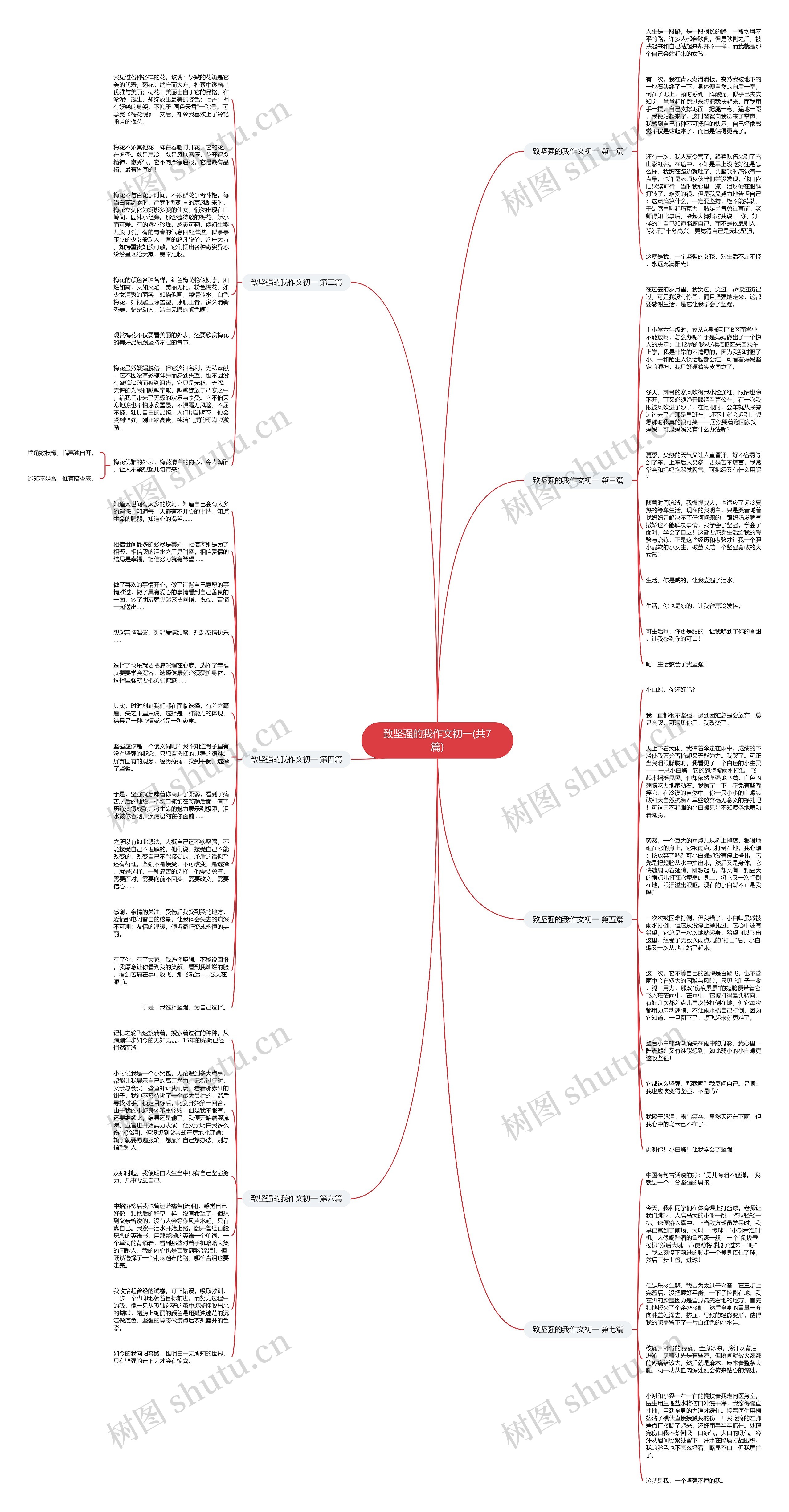 致坚强的我作文初一(共7篇)思维导图