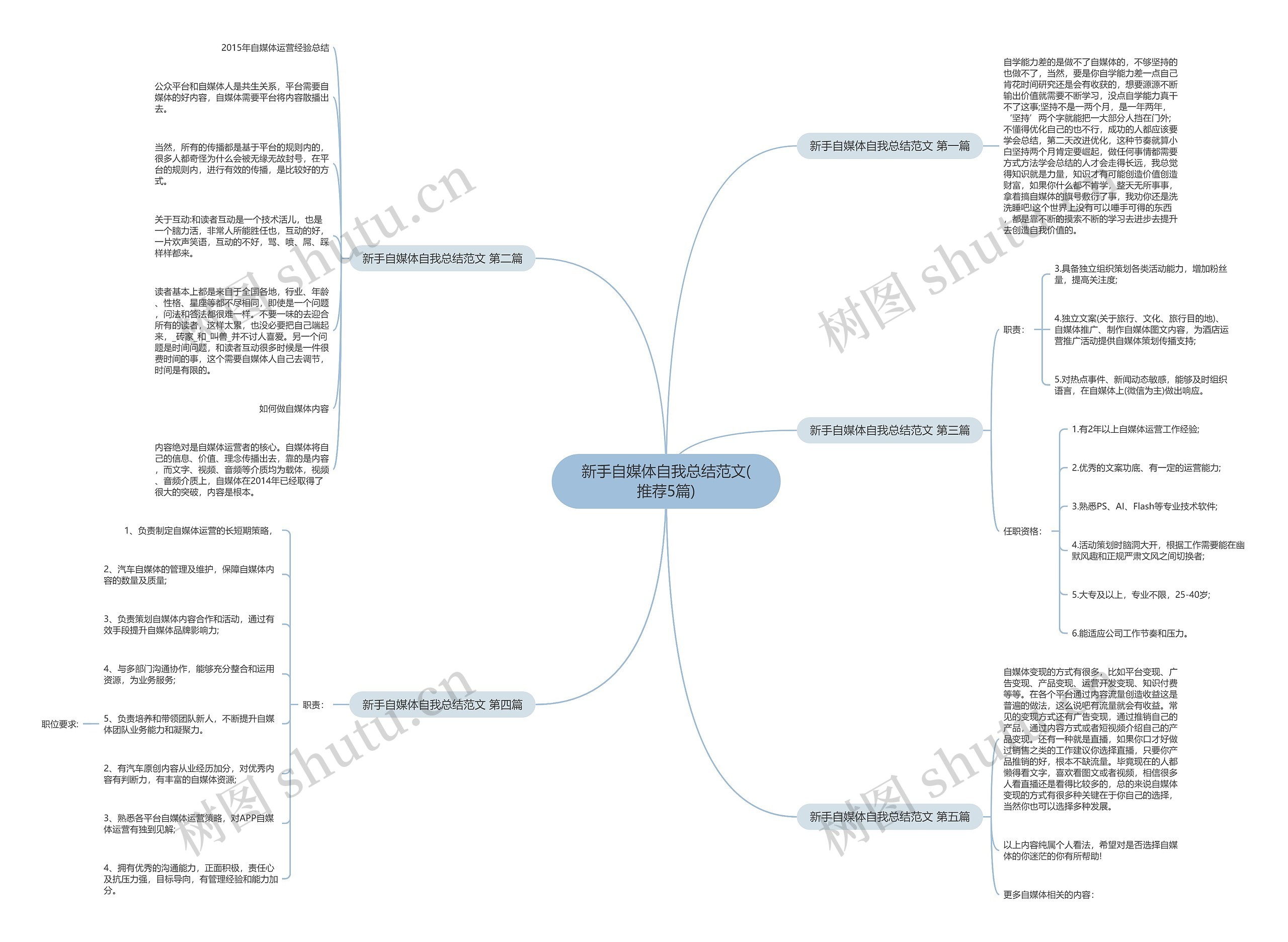 新手自媒体自我总结范文(推荐5篇)思维导图