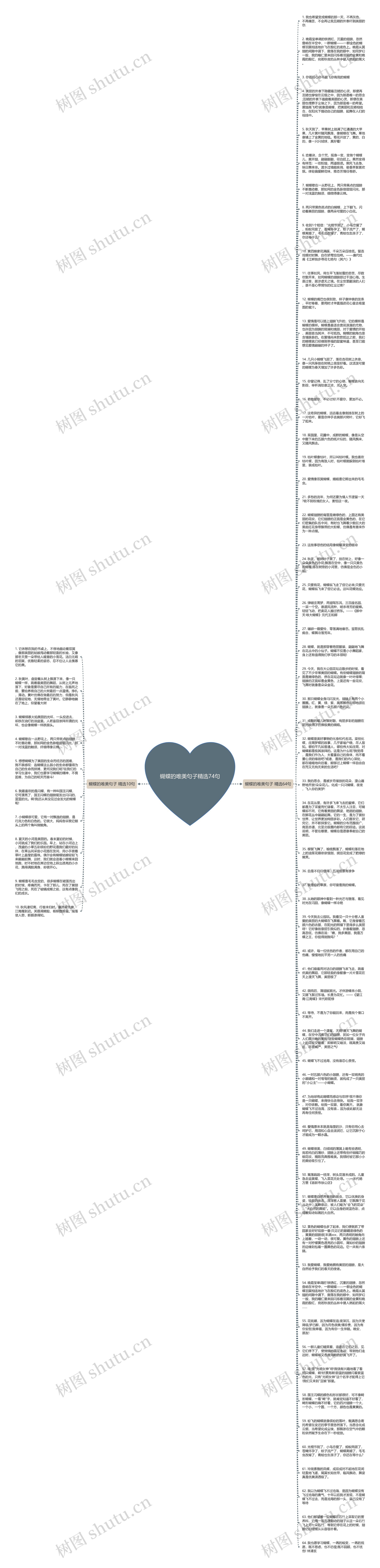 蝴蝶的唯美句子精选74句思维导图