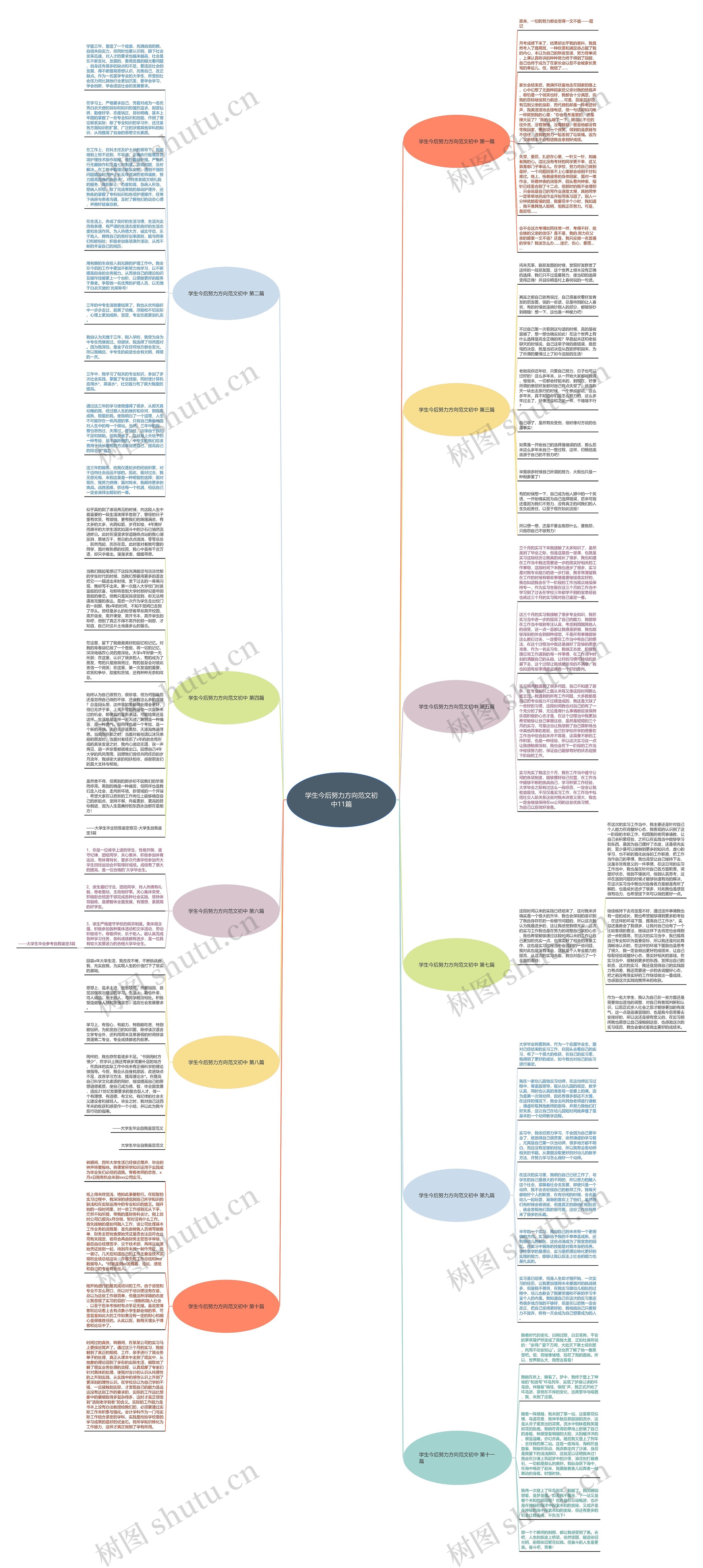 学生今后努力方向范文初中11篇思维导图