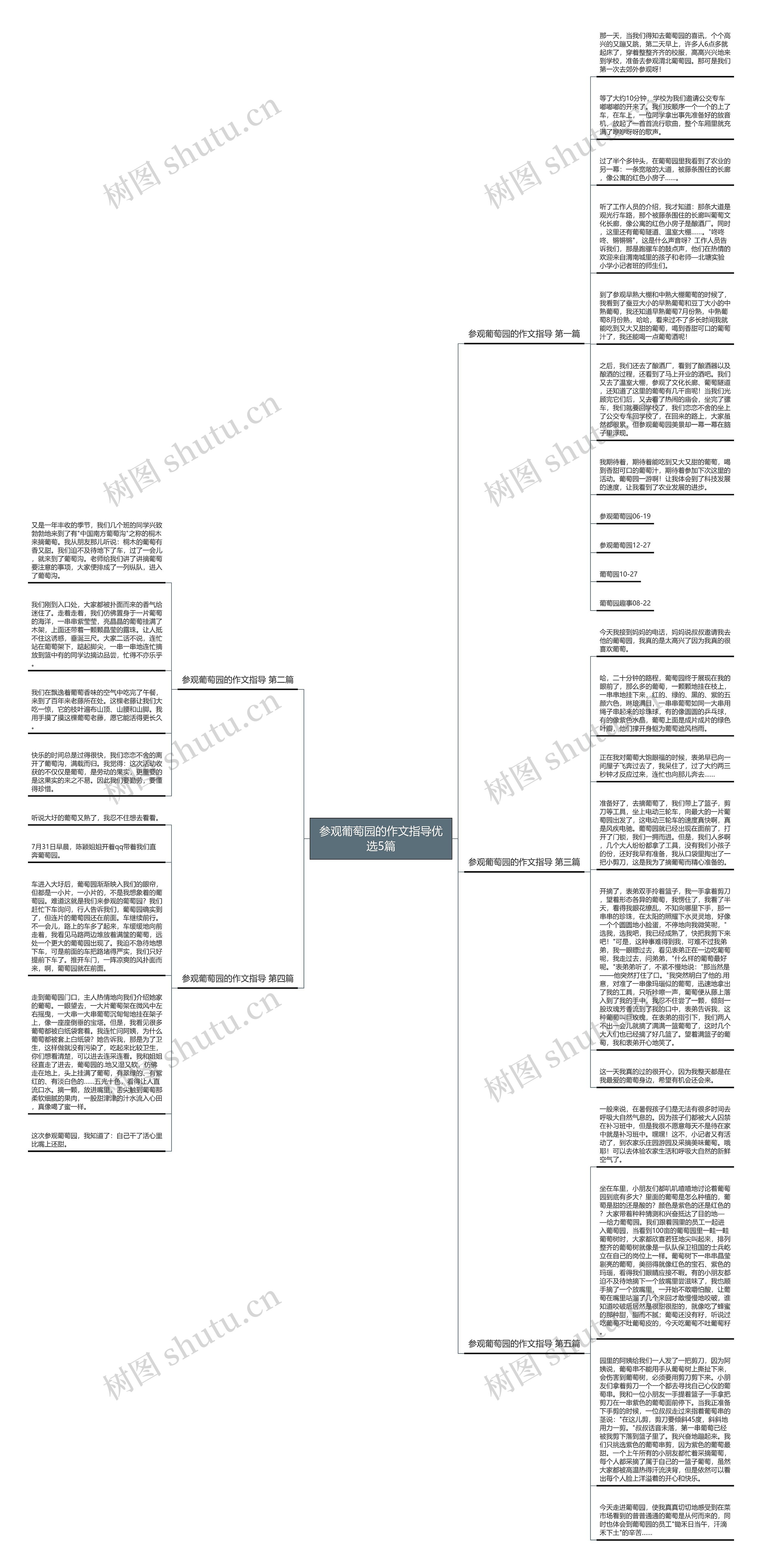 参观葡萄园的作文指导优选5篇思维导图