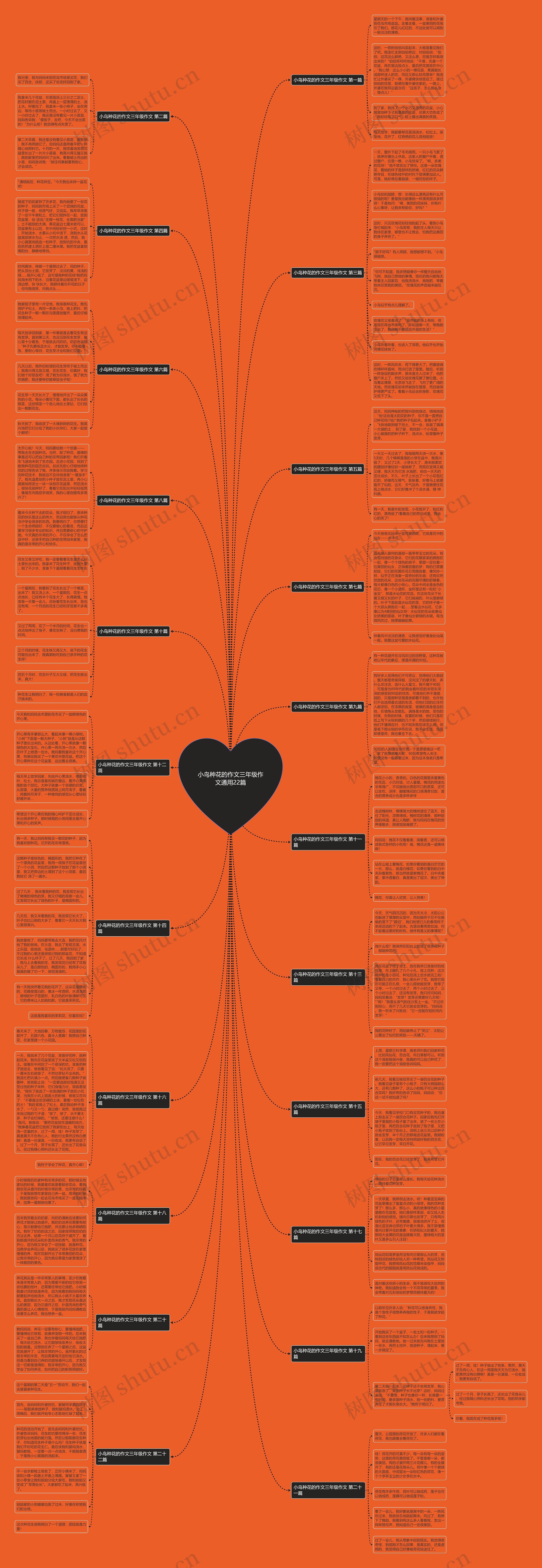 小鸟种花的作文三年级作文通用22篇思维导图