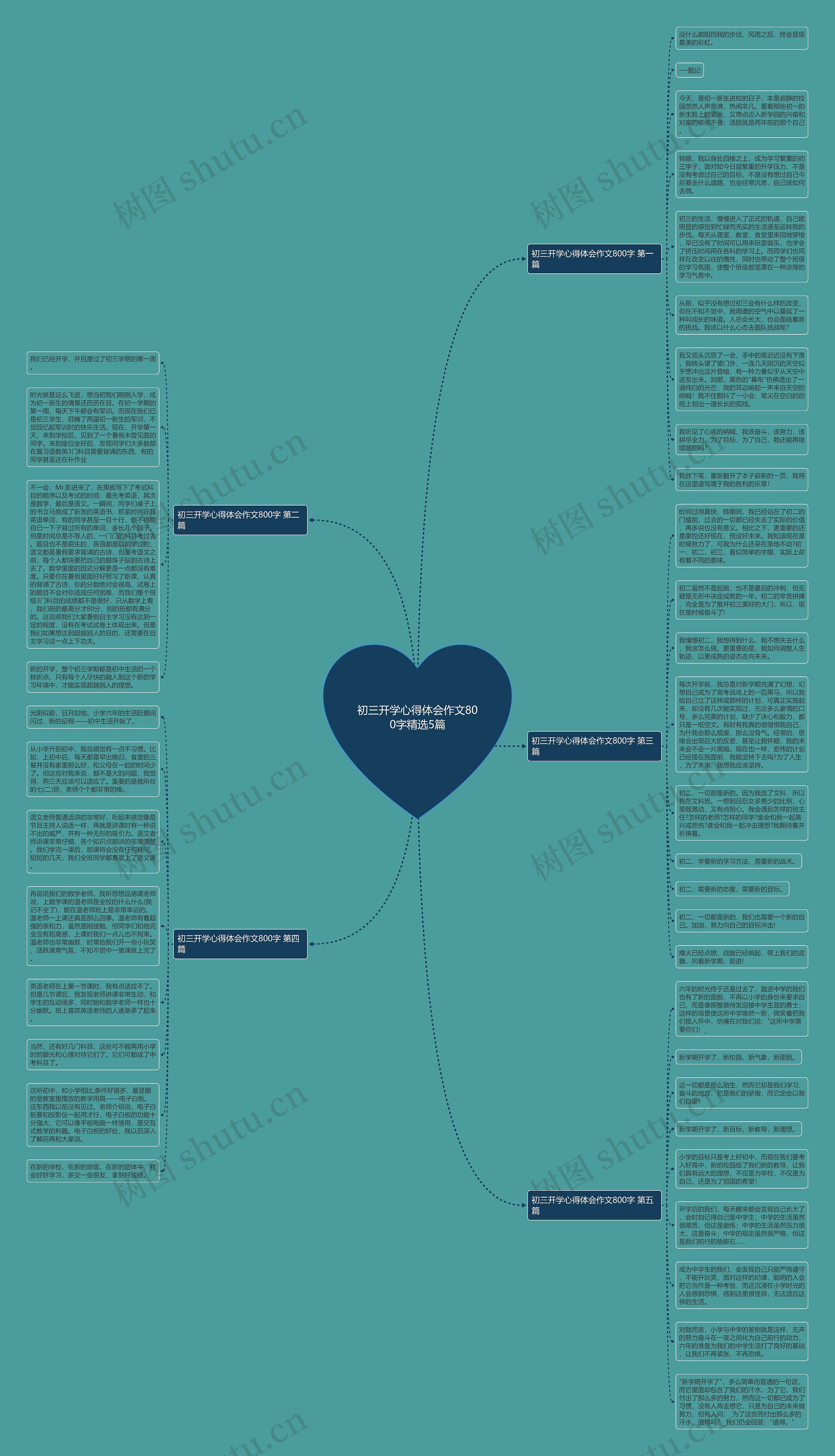 初三开学心得体会作文800字精选5篇思维导图