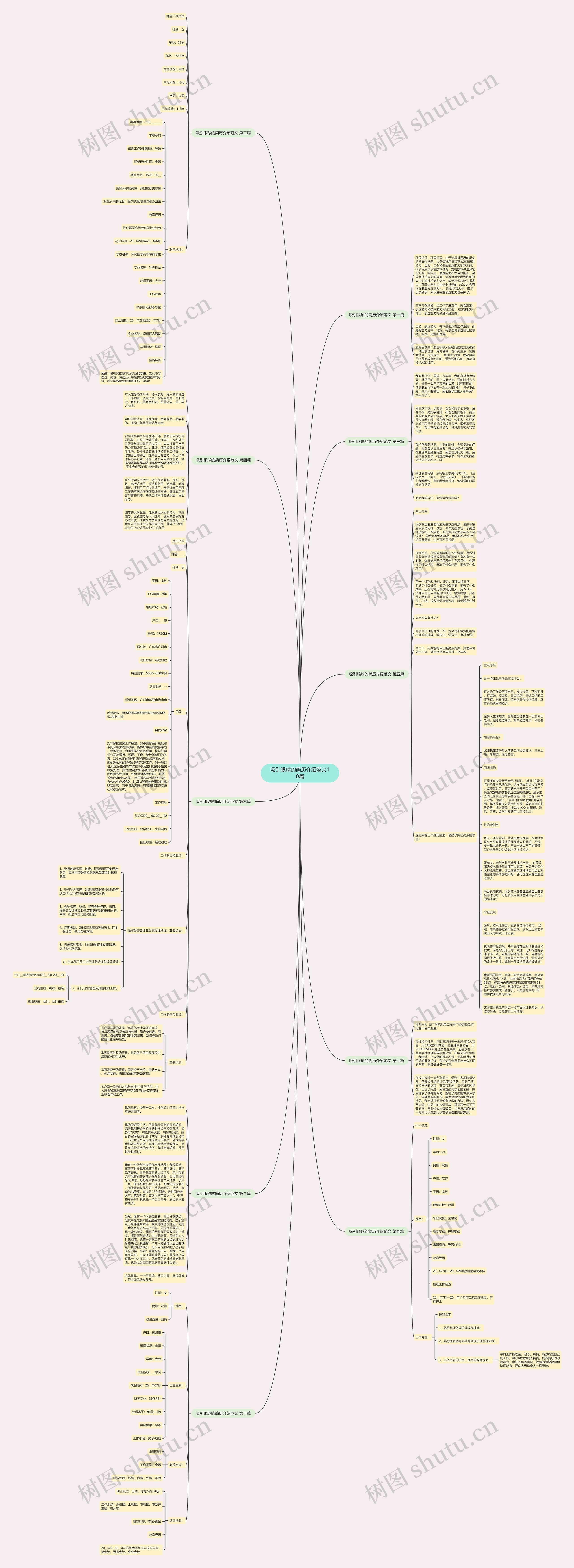 吸引眼球的简历介绍范文10篇思维导图