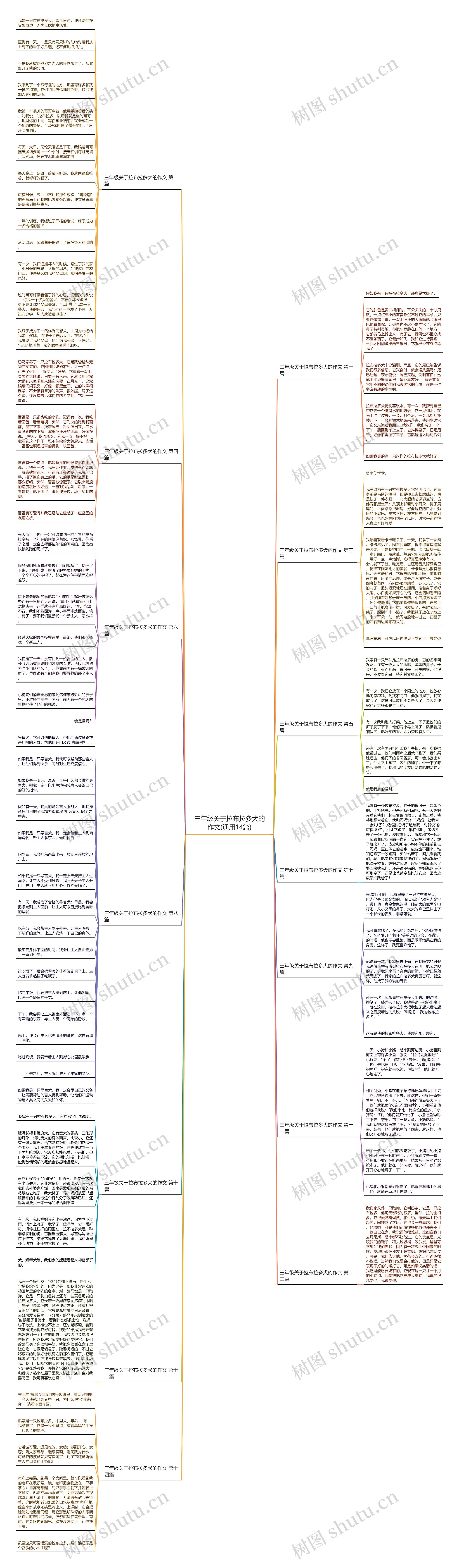 三年级关于拉布拉多犬的作文(通用14篇)思维导图