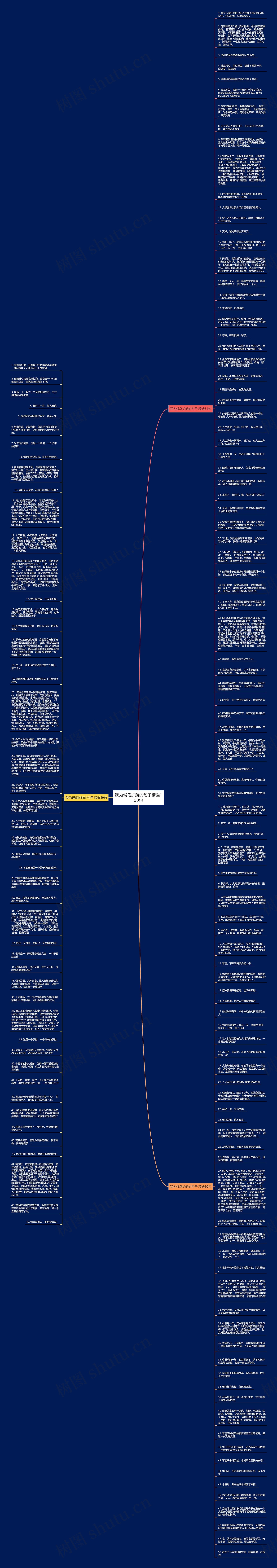 我为候鸟护航的句子精选150句思维导图