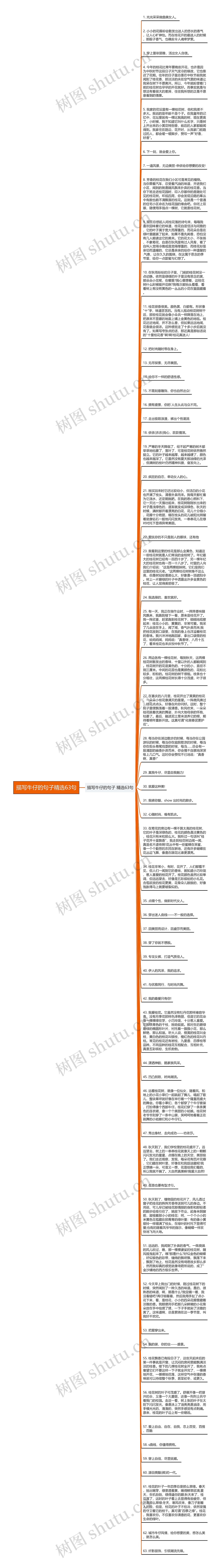 描写牛仔的句子精选63句
