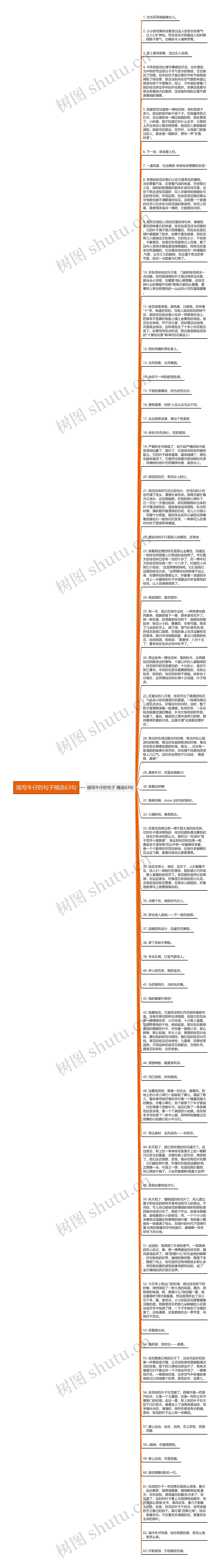 描写牛仔的句子精选63句思维导图