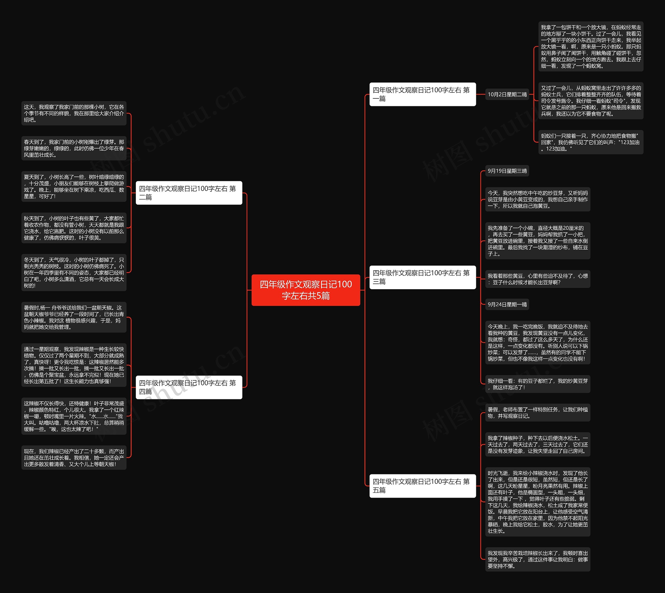 四年级作文观察日记100字左右共5篇思维导图