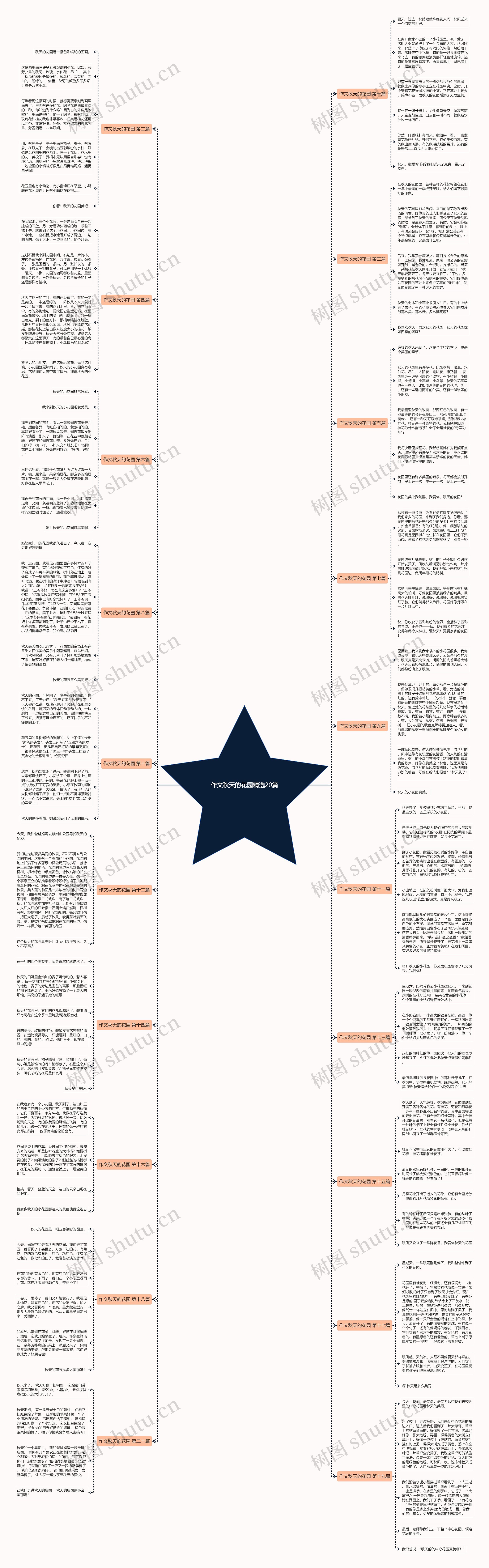 作文秋天的花园精选20篇思维导图