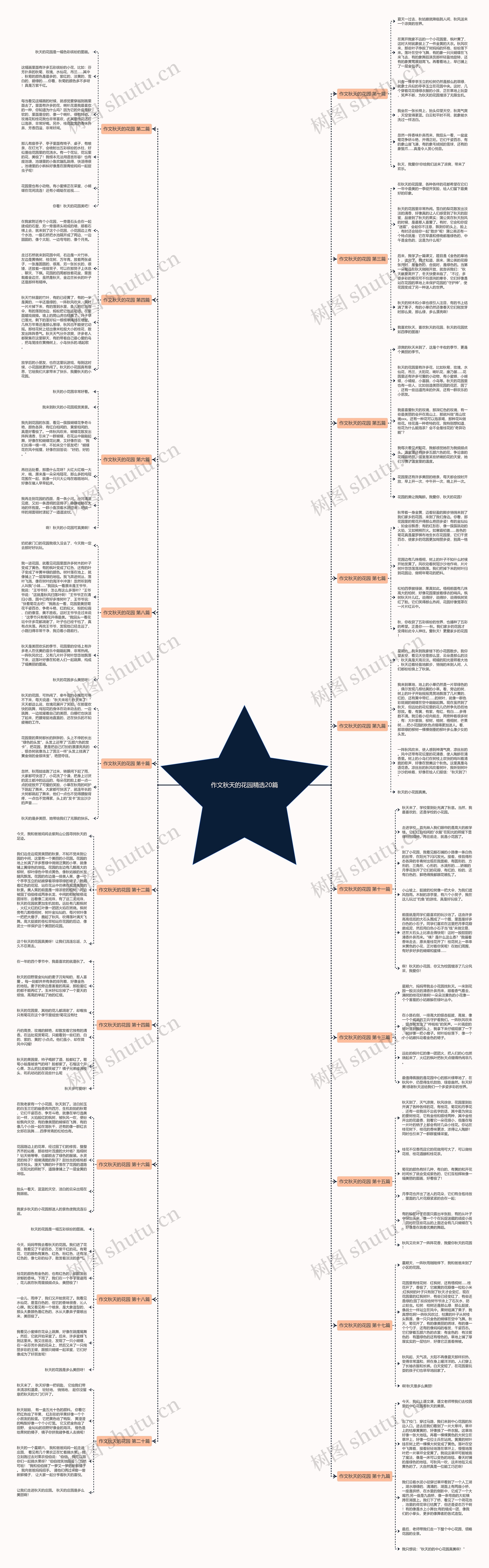 作文秋天的花园精选20篇 作文秋天的花园精选20篇