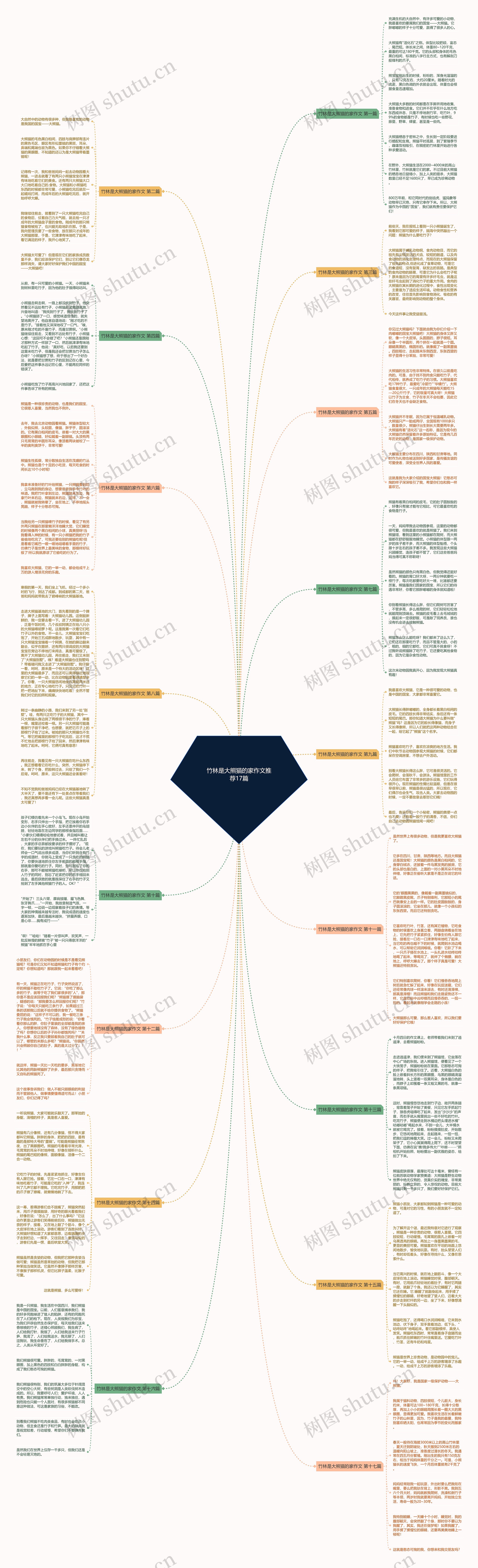 竹林是大熊猫的家作文推荐17篇思维导图