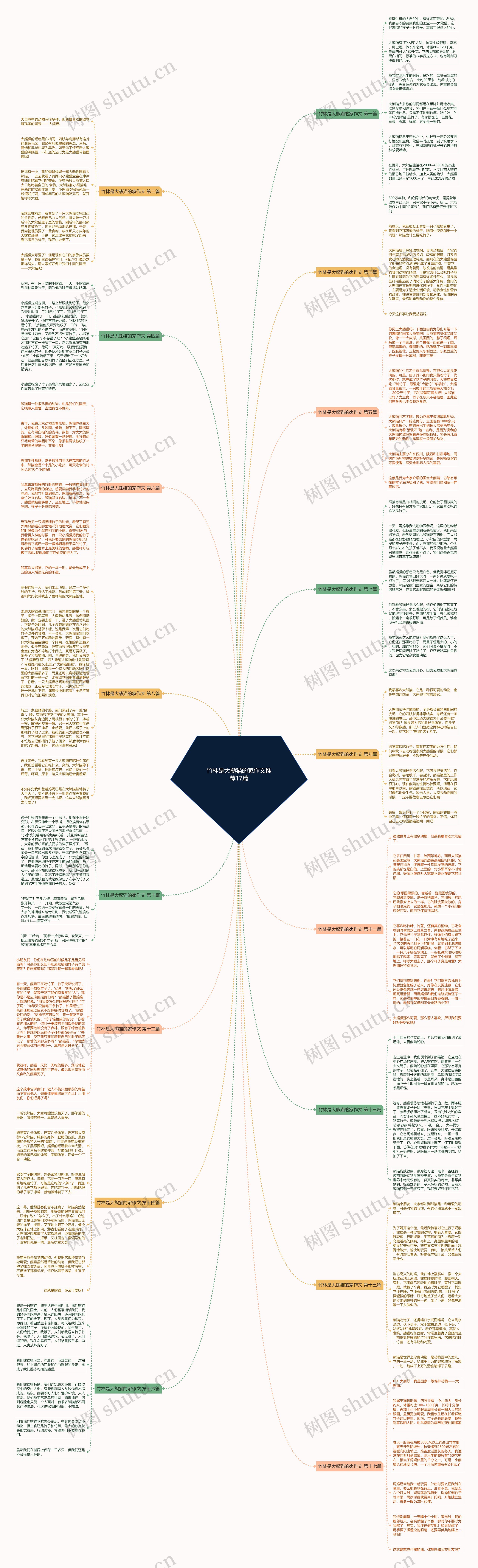 竹林是大熊猫的家作文推荐17篇 竹林是大熊猫的家作文推荐17篇