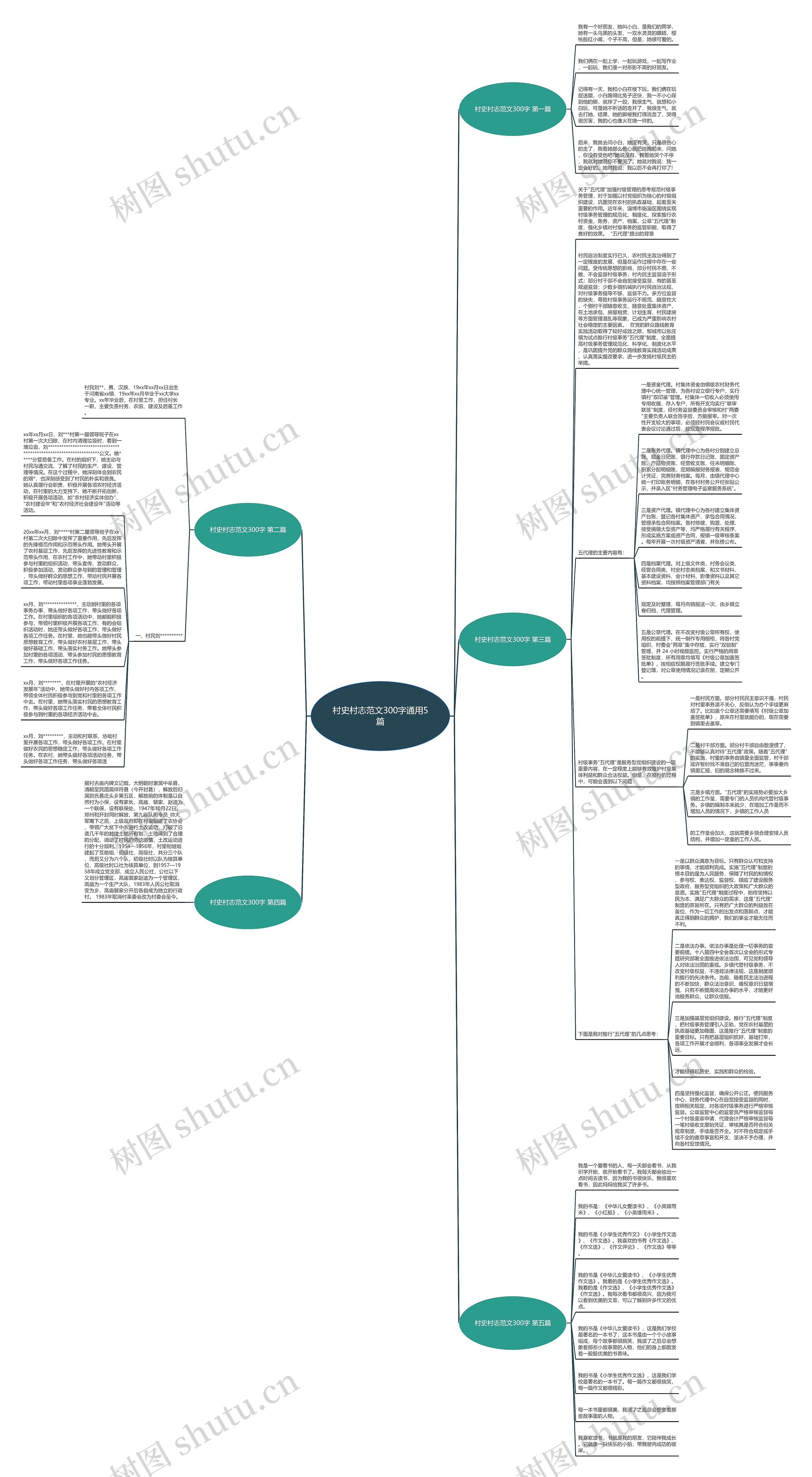 村史村志范文300字通用5篇思维导图