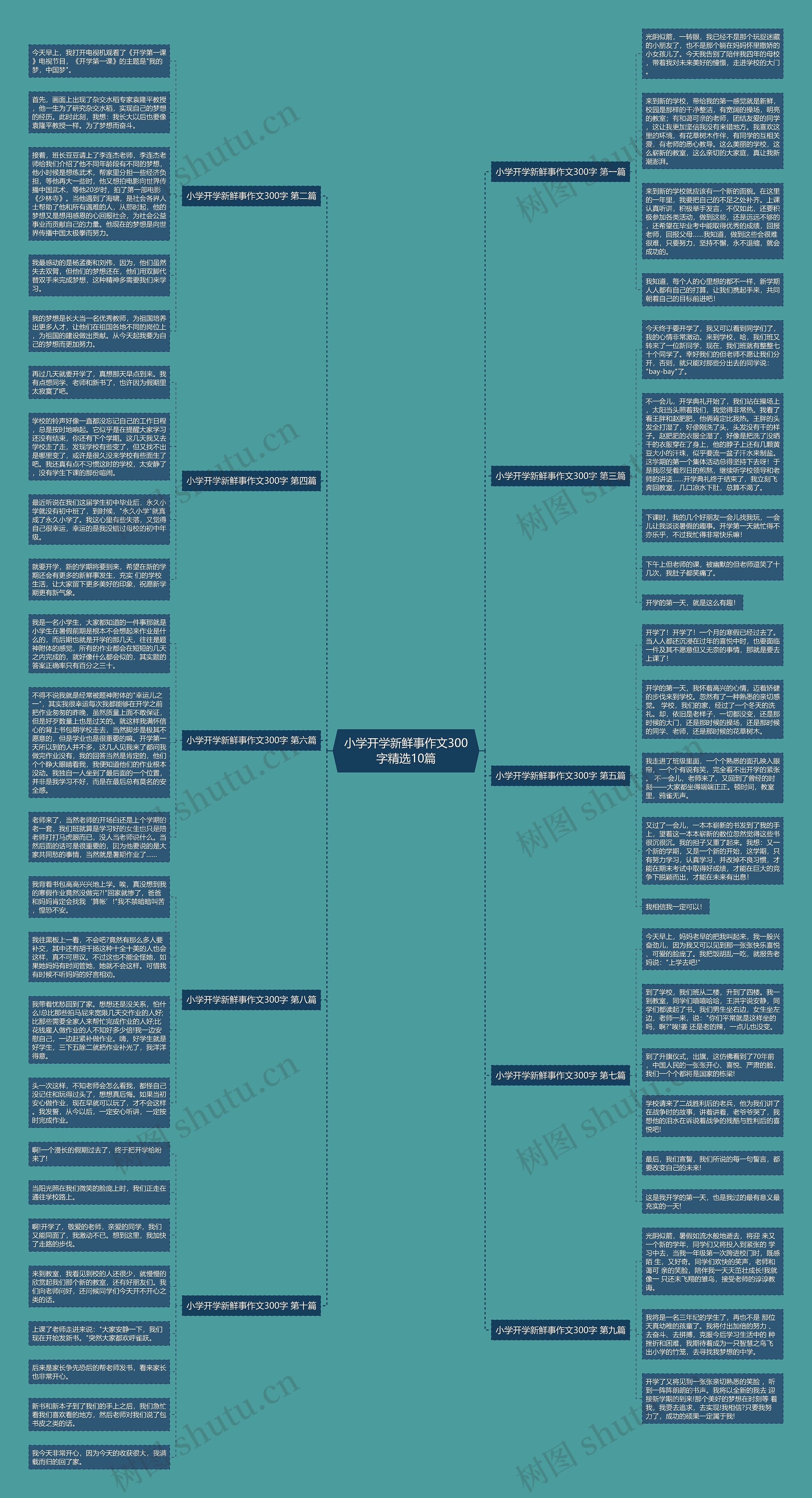 小学开学新鲜事作文300字精选10篇思维导图