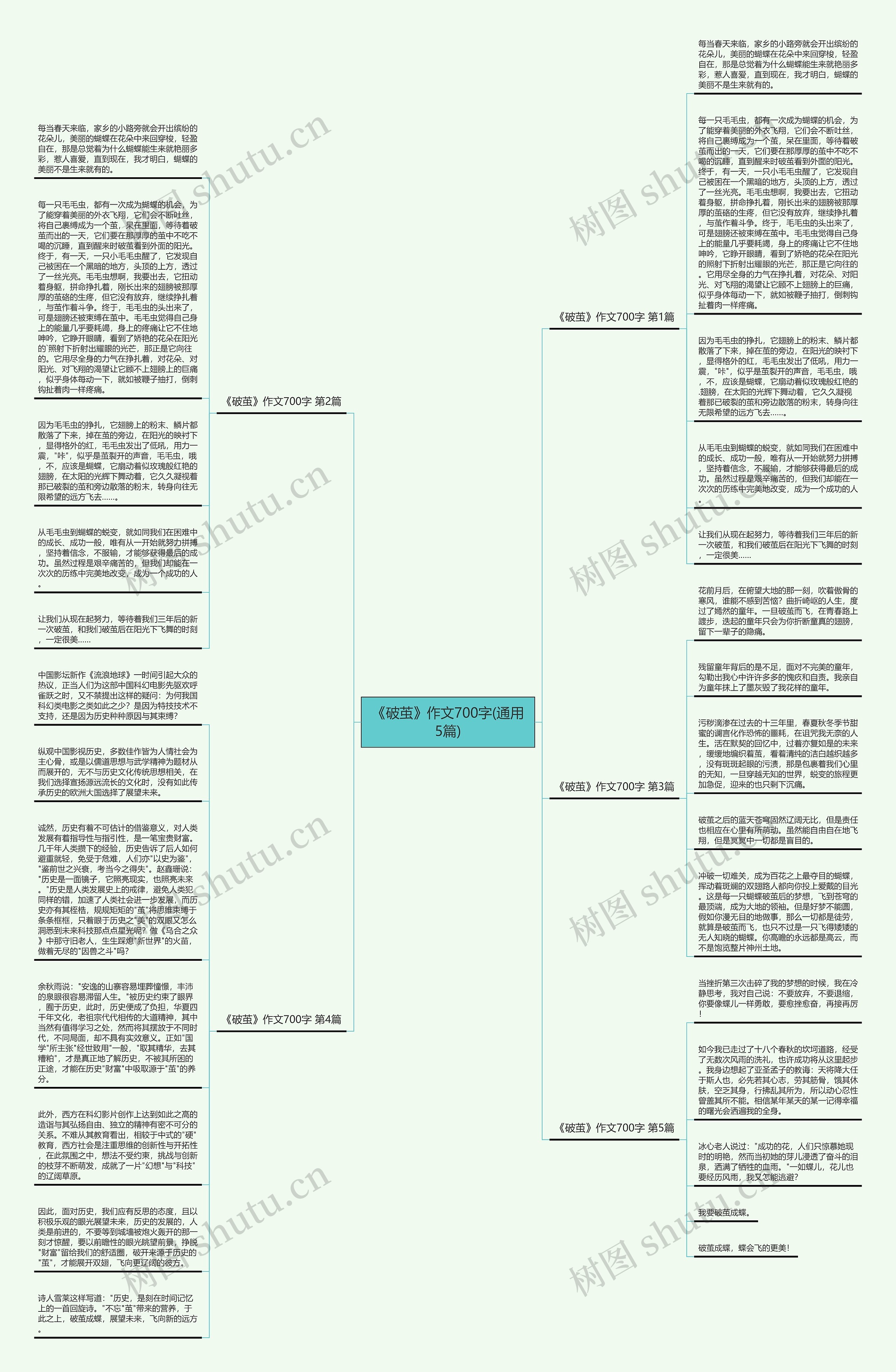 《破茧》作文700字(通用5篇)思维导图