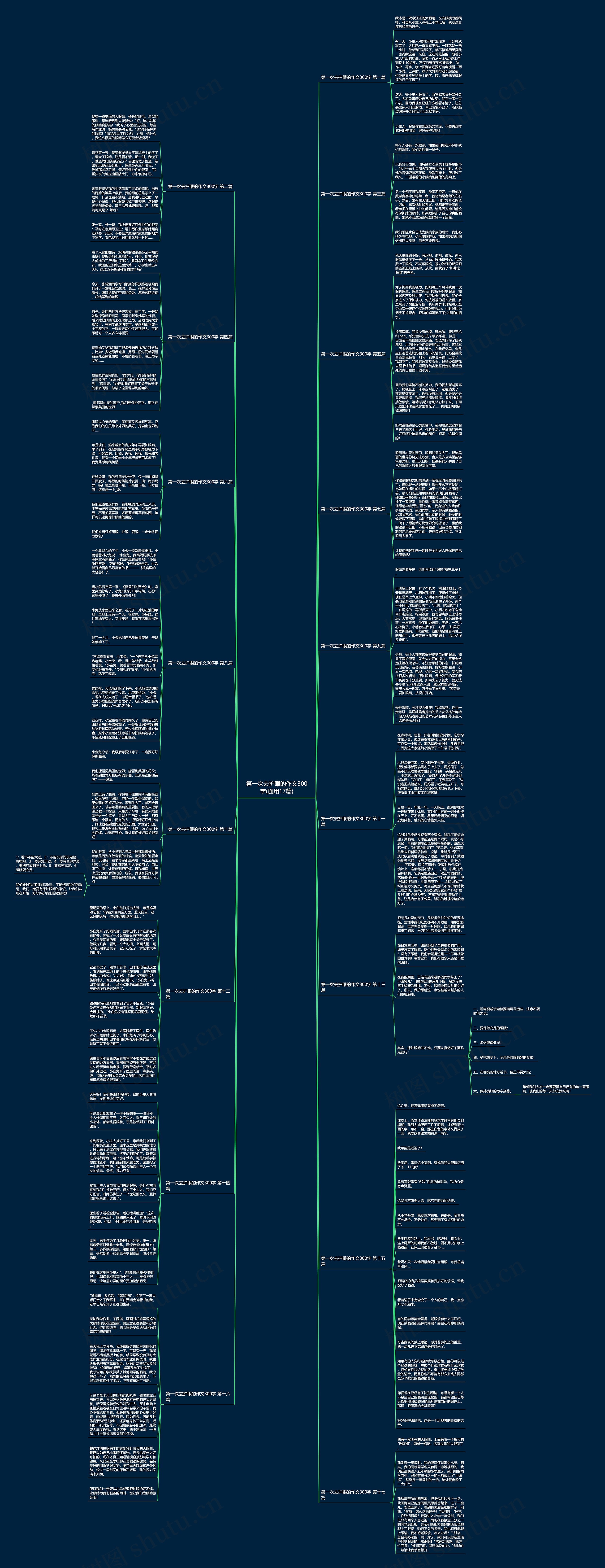 第一次去护眼的作文300字(通用17篇)思维导图