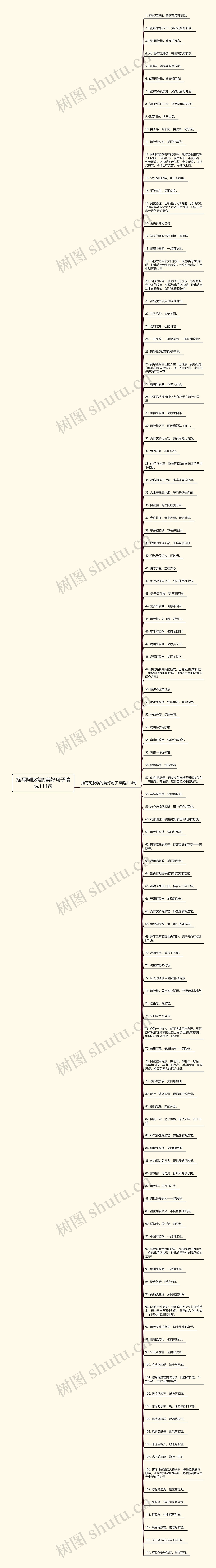 描写阿胶糕的美好句子精选114句思维导图