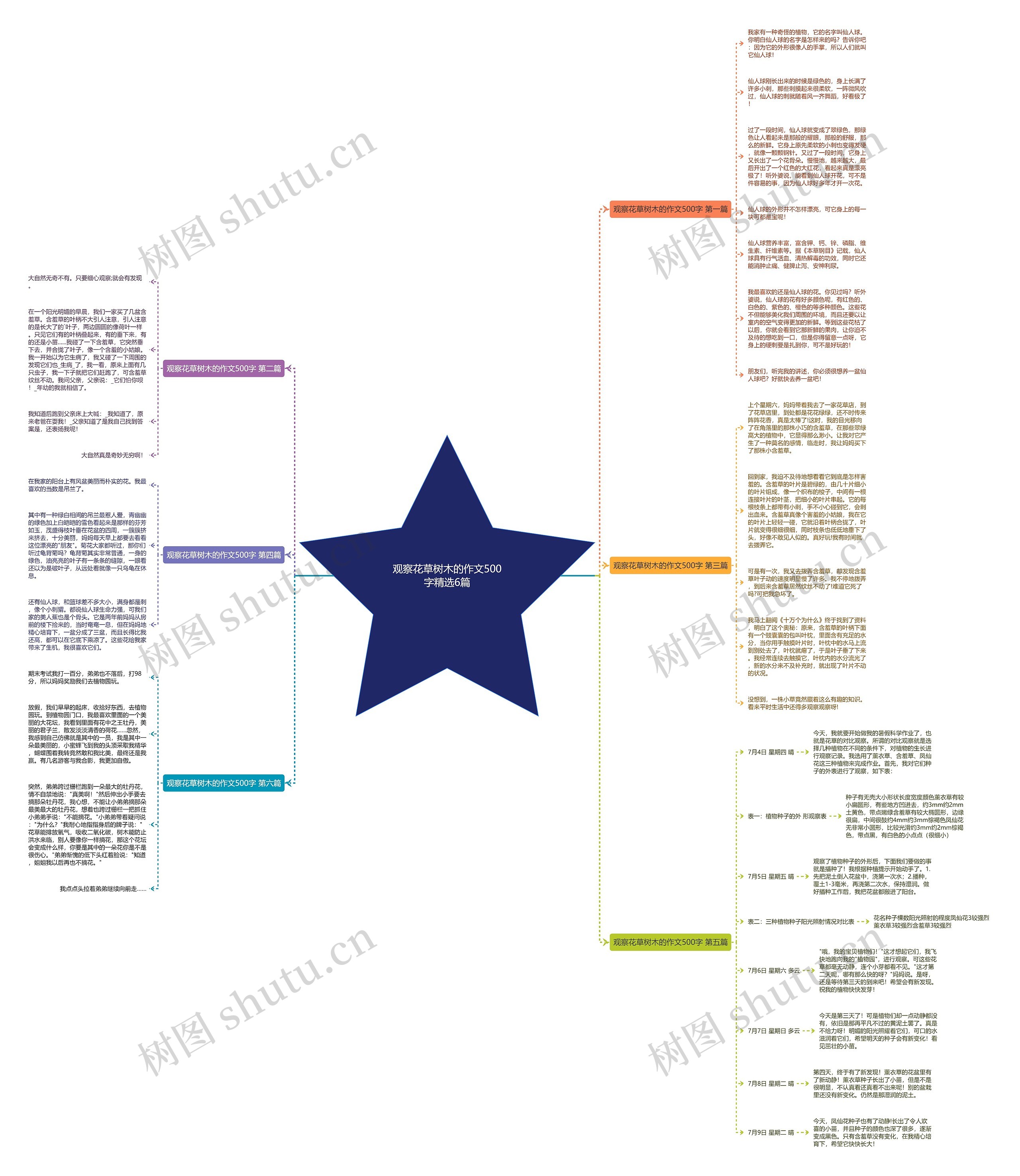 观察花草树木的作文500字精选6篇思维导图