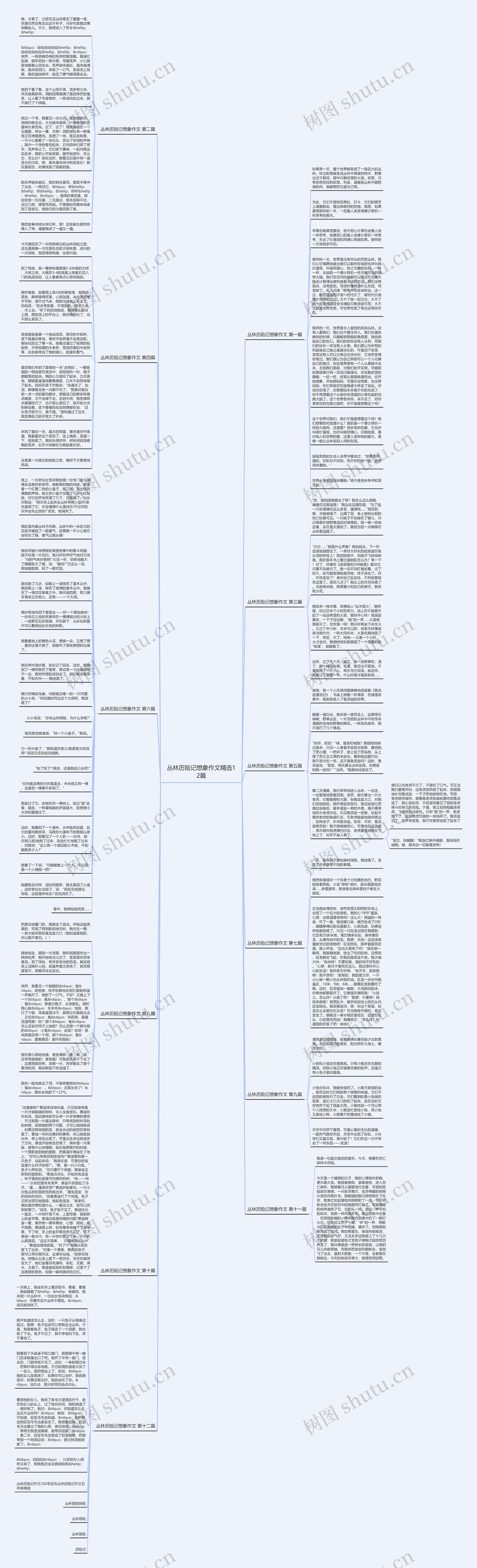 丛林历险记想象作文精选12篇思维导图