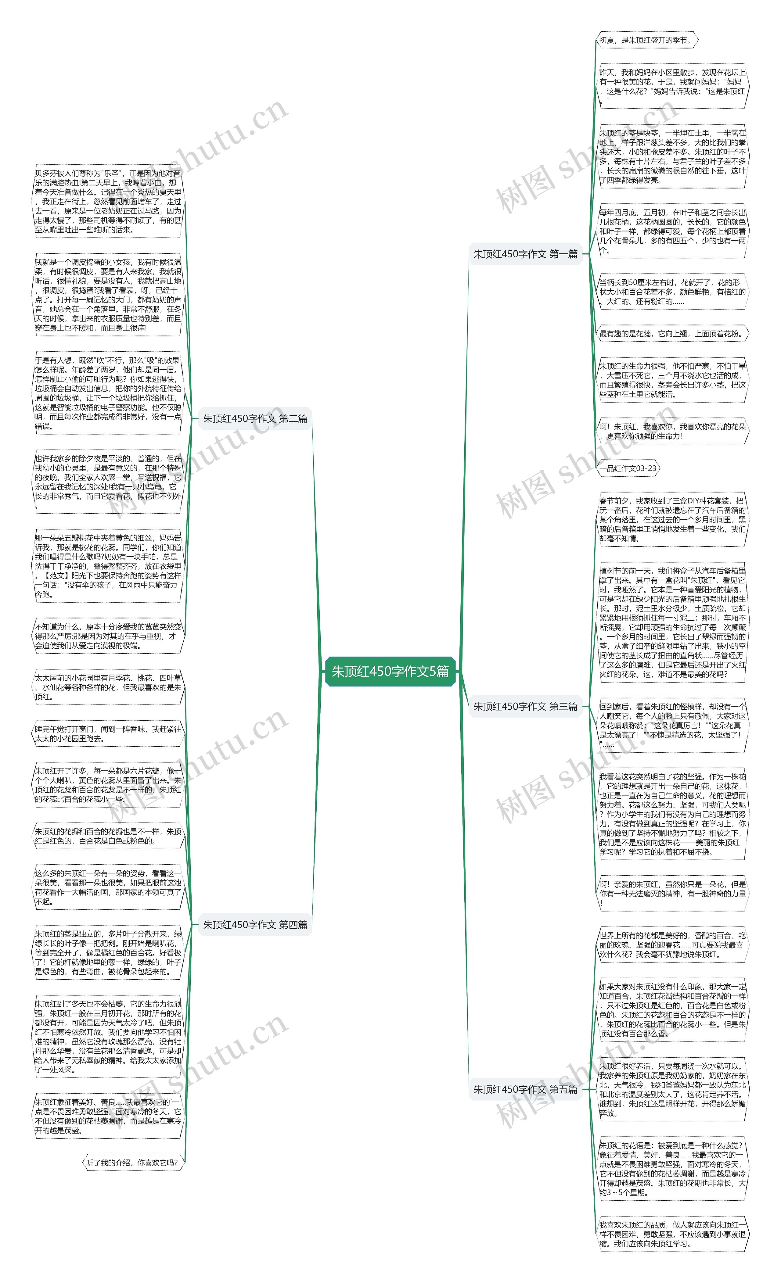 朱顶红450字作文5篇思维导图