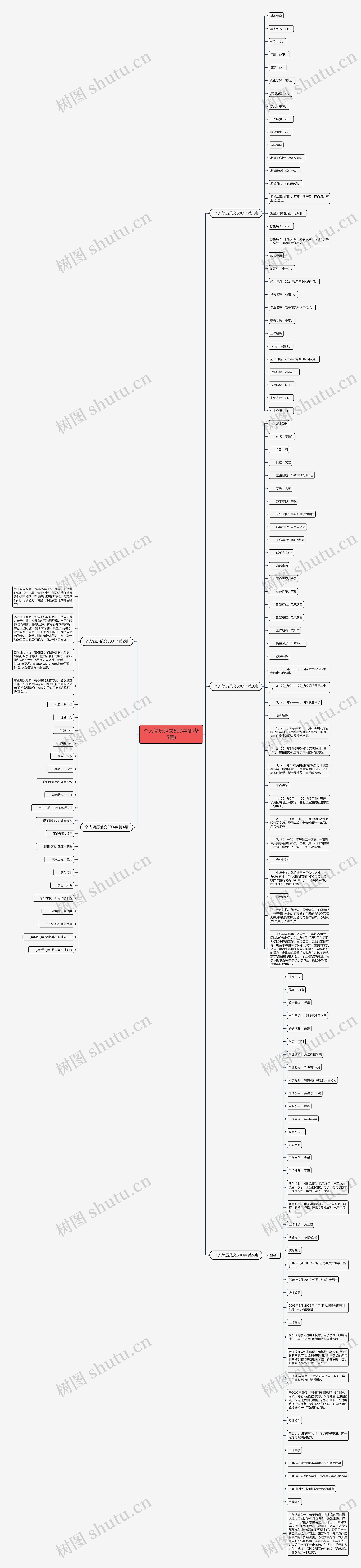 个人简历范文500字(必备5篇)思维导图