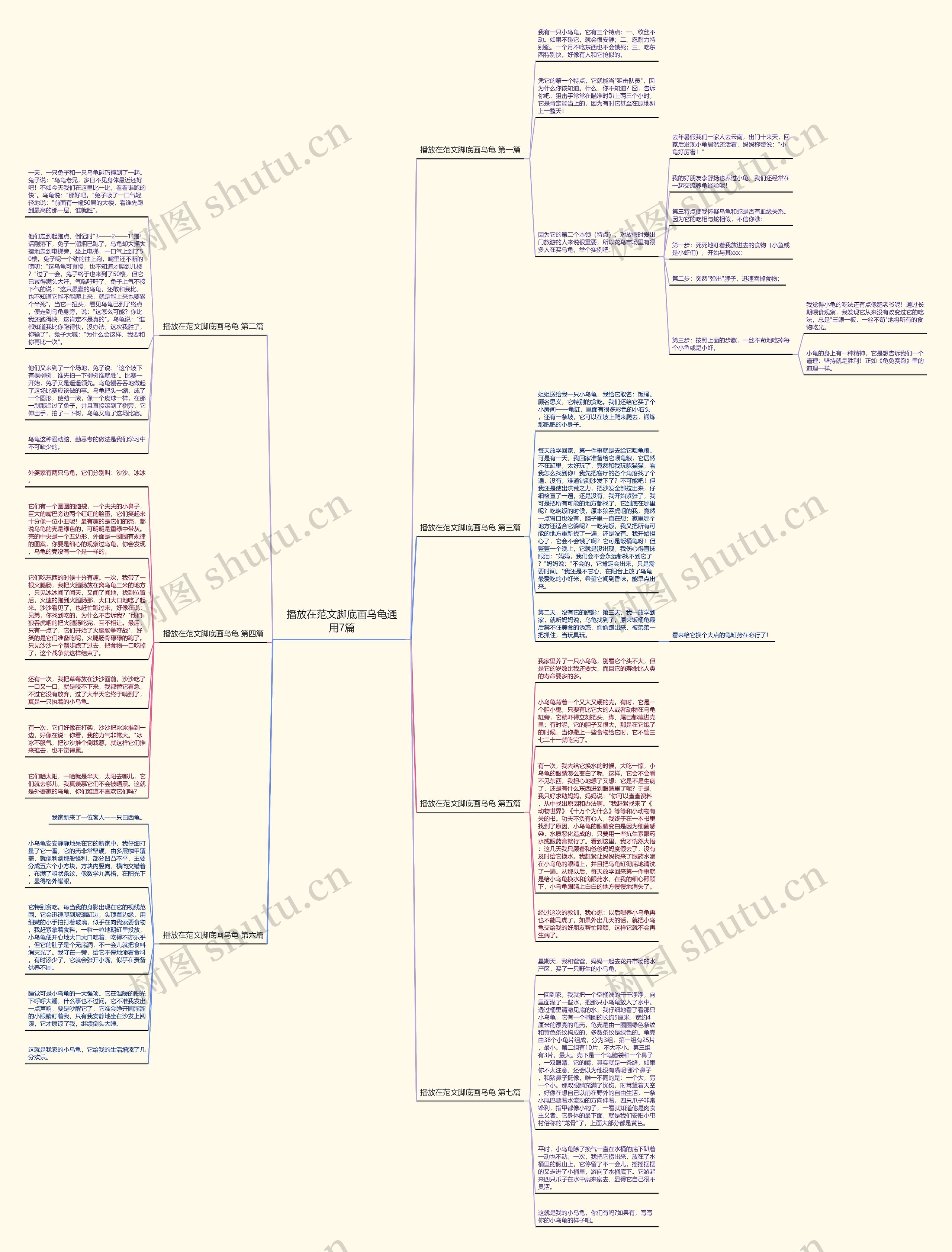 播放在范文脚底画乌龟通用7篇思维导图