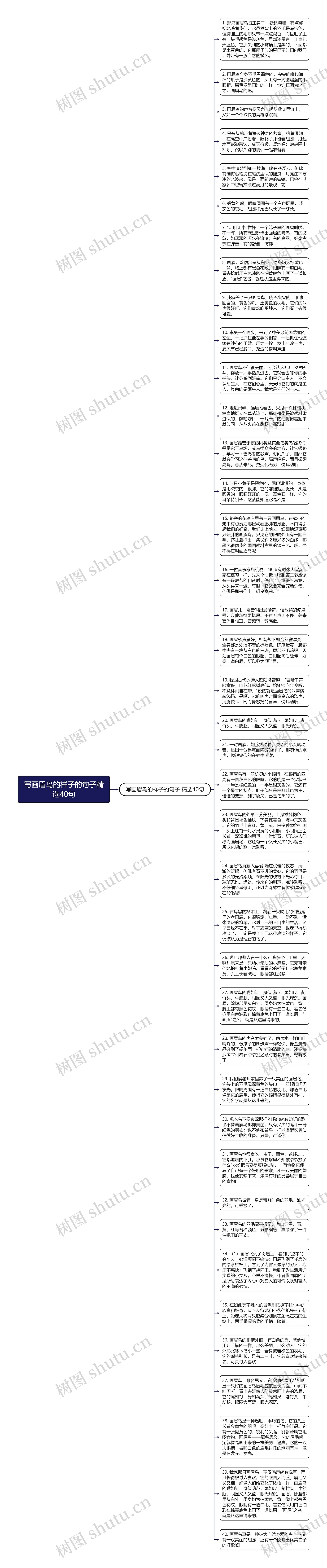 写画眉鸟的样子的句子精选40句思维导图
