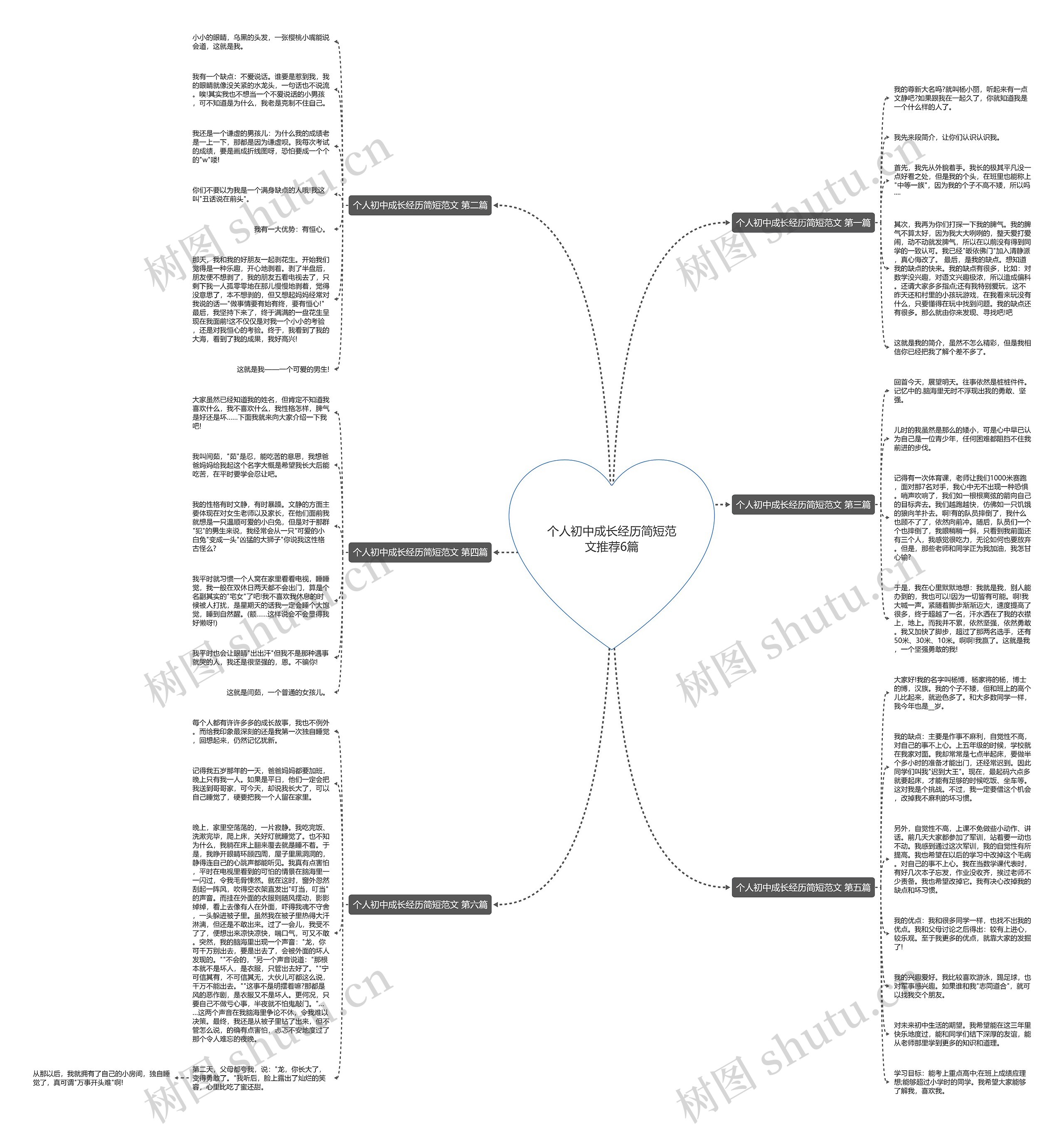 个人初中成长经历简短范文推荐6篇思维导图