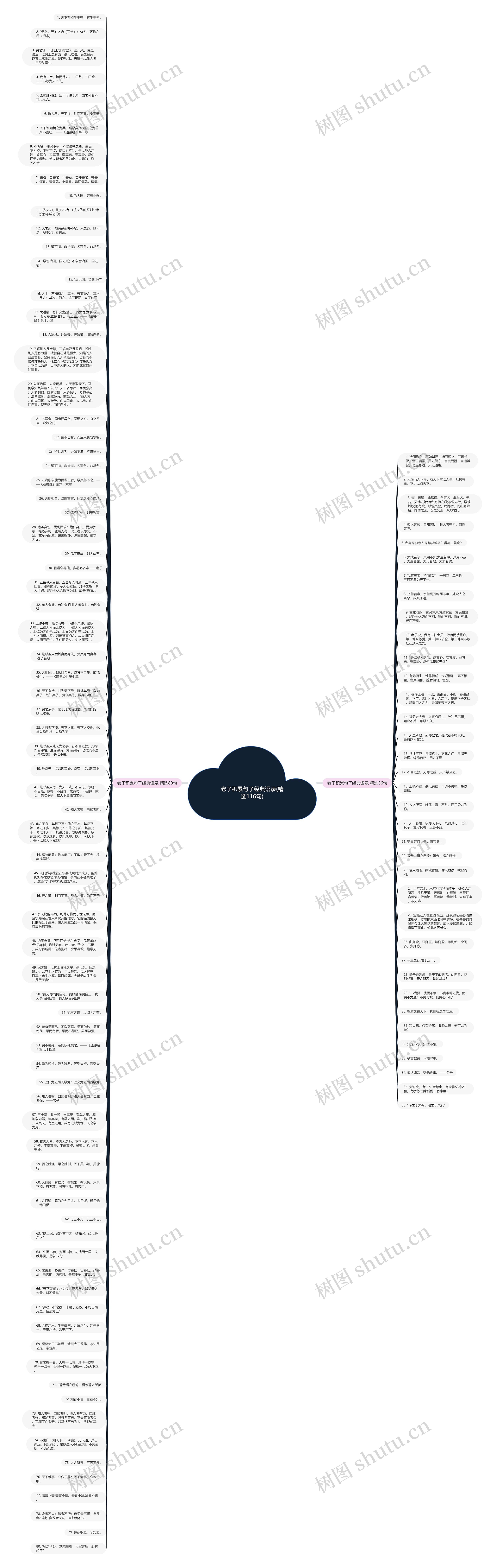 老子积累句子经典语录(精选116句)思维导图
