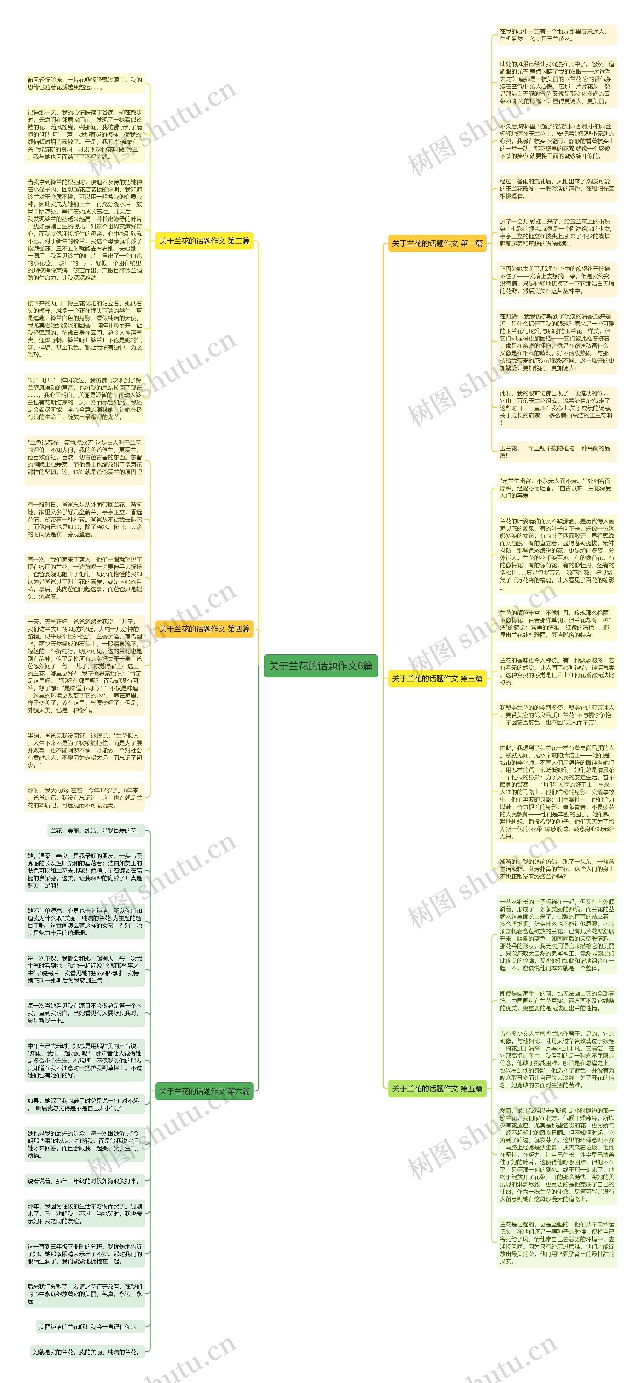 关于兰花的话题作文6篇思维导图