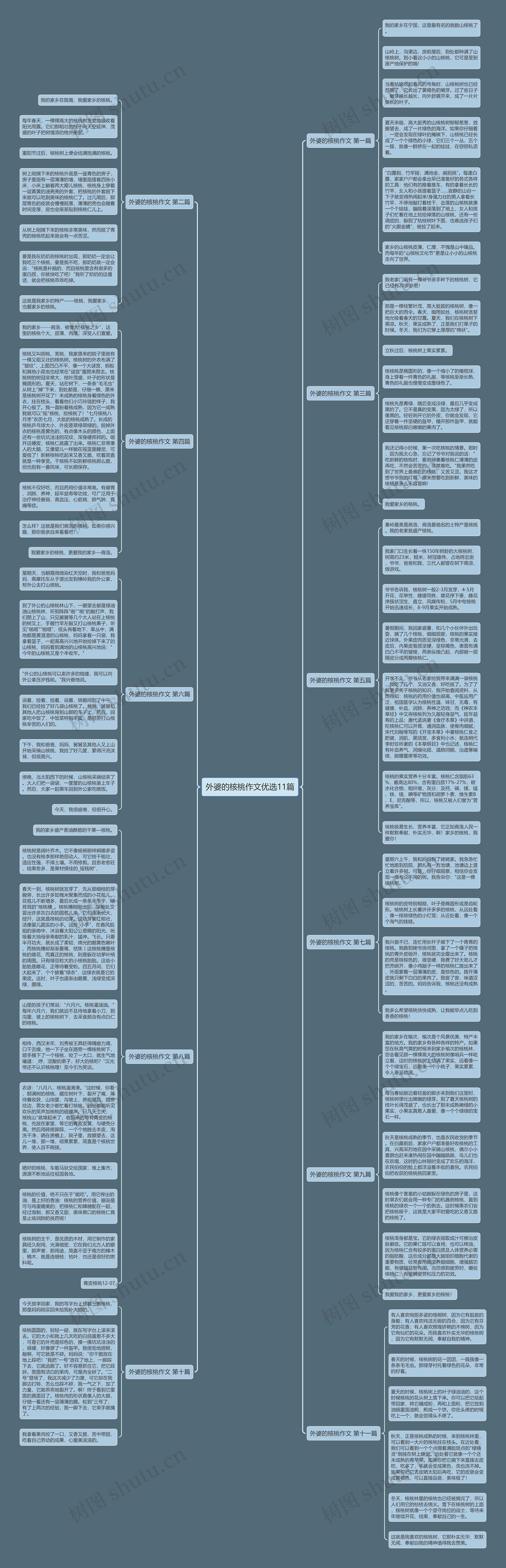 外婆的核桃作文优选11篇思维导图