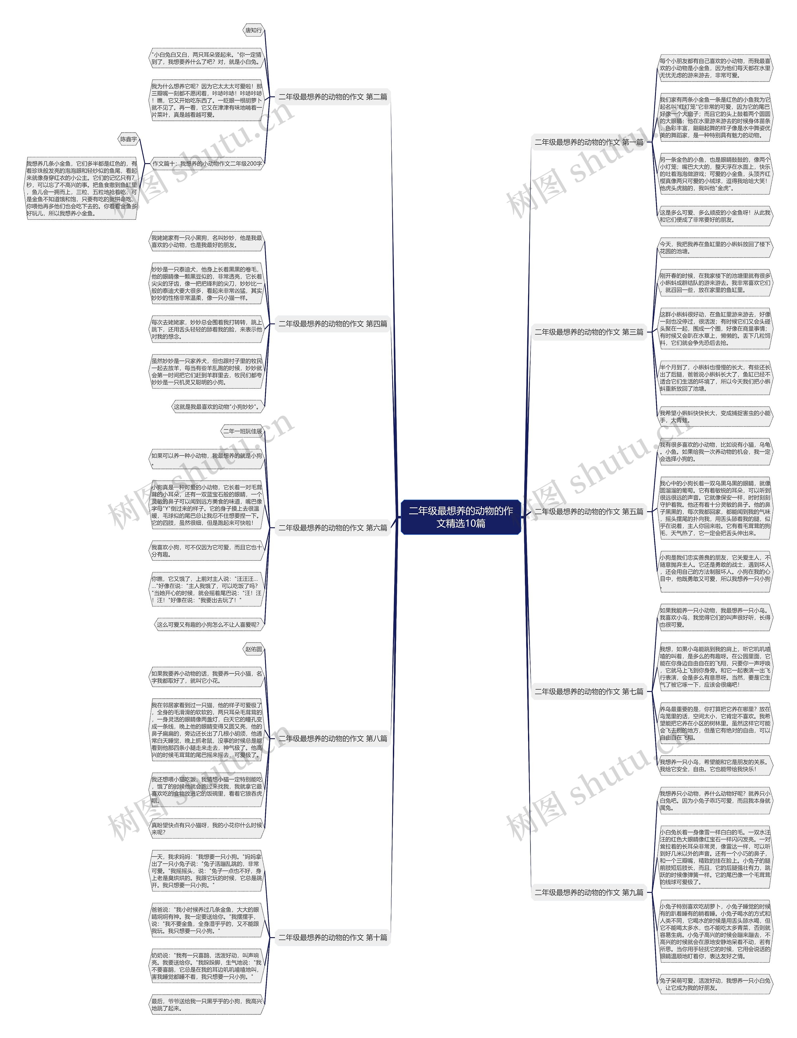 二年级最想养的动物的作文精选10篇思维导图