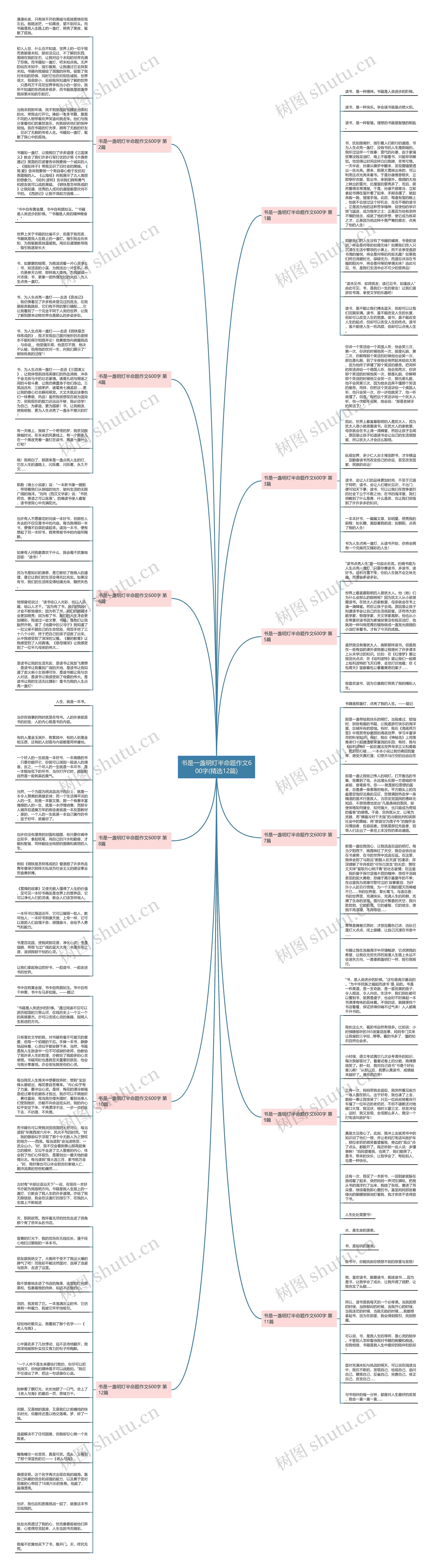 书是一盏明灯半命题作文600字(精选12篇)思维导图
