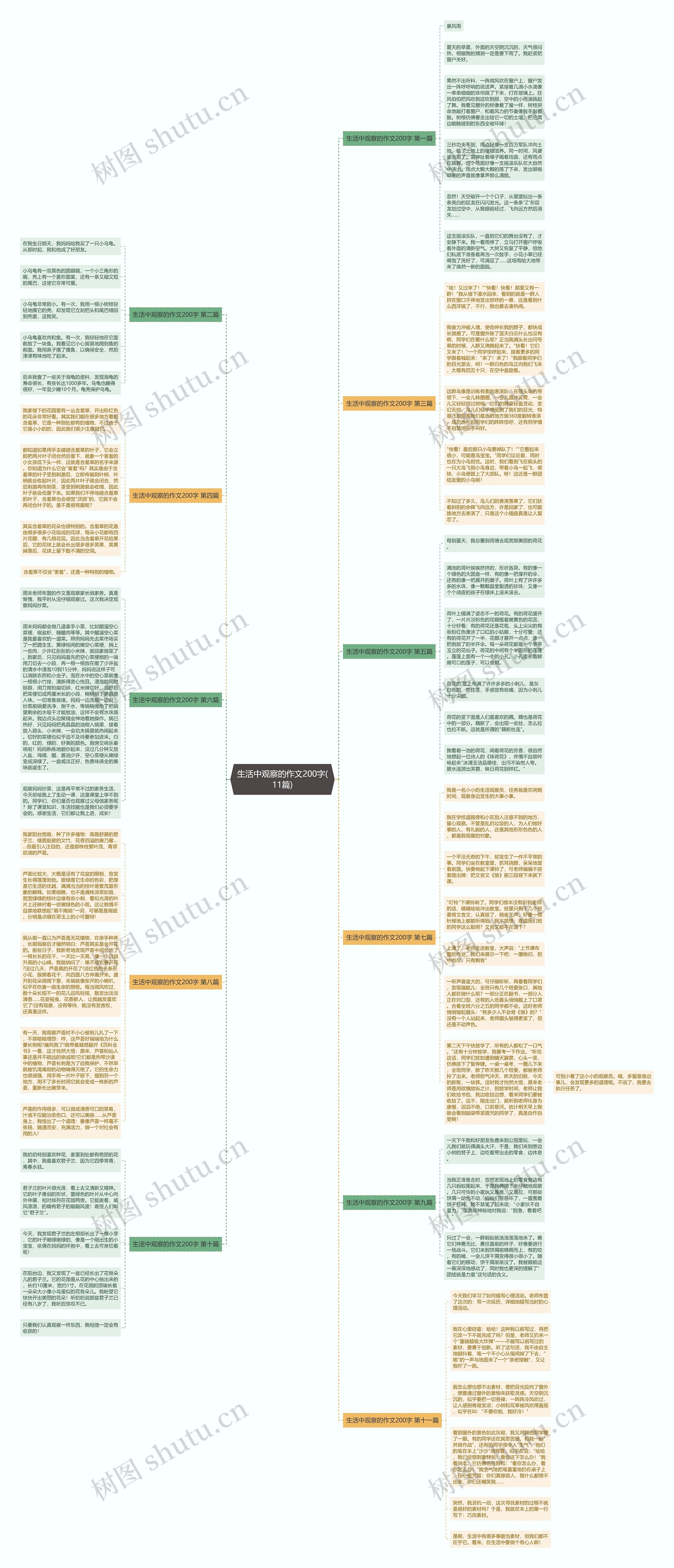 生活中观察的作文200字(11篇)思维导图