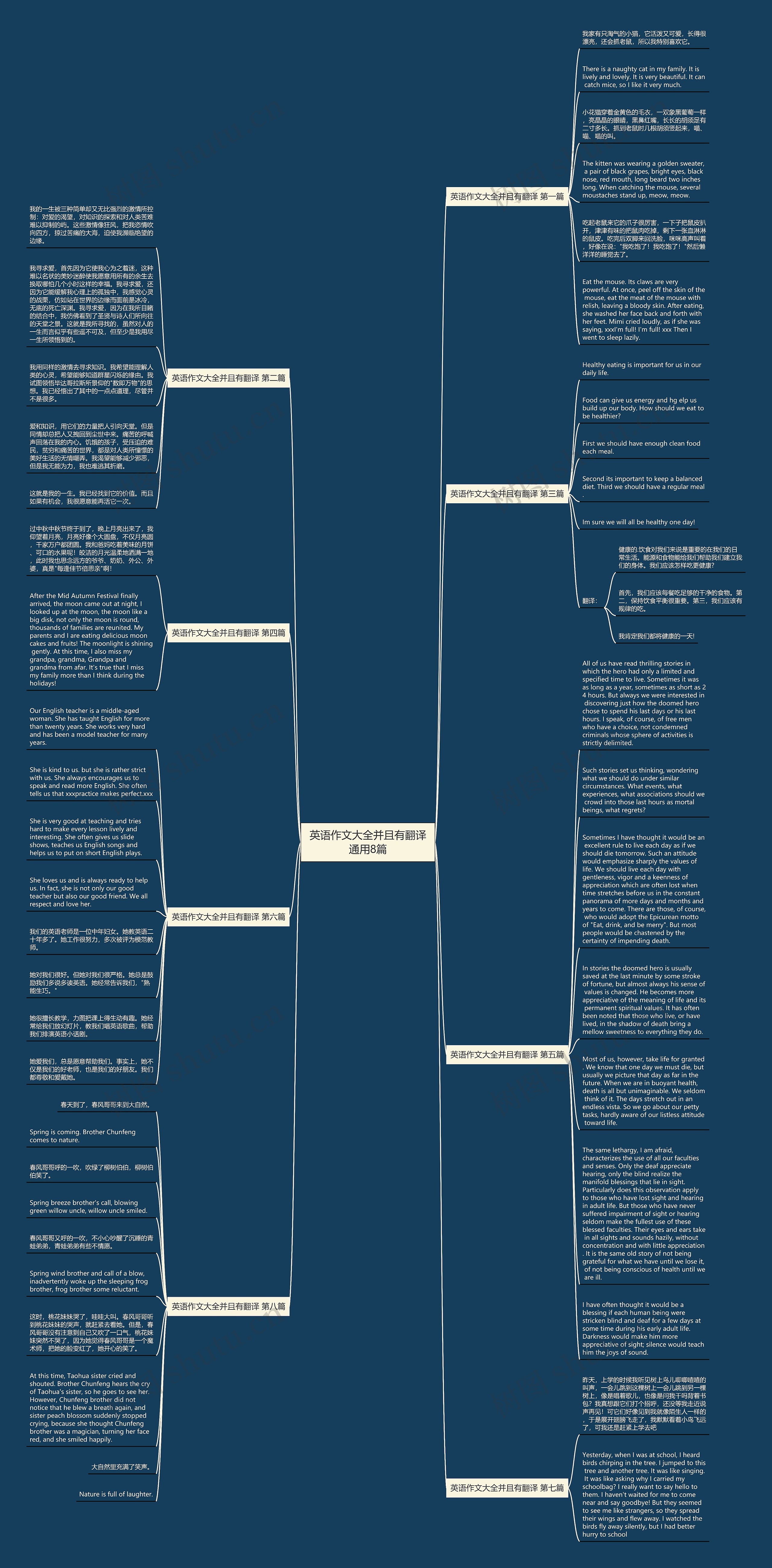 英语作文大全并且有翻译通用8篇思维导图