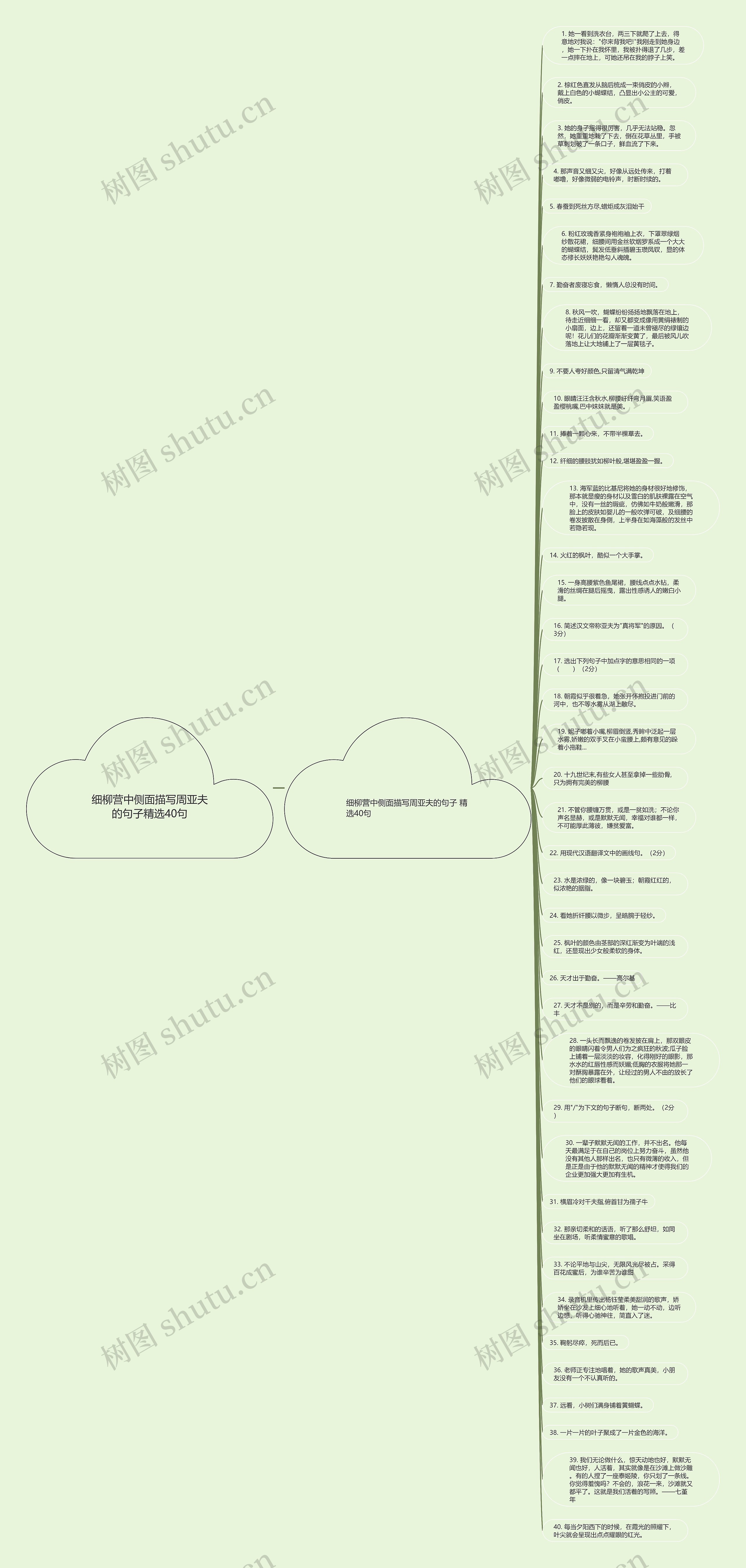 细柳营中侧面描写周亚夫的句子精选40句思维导图