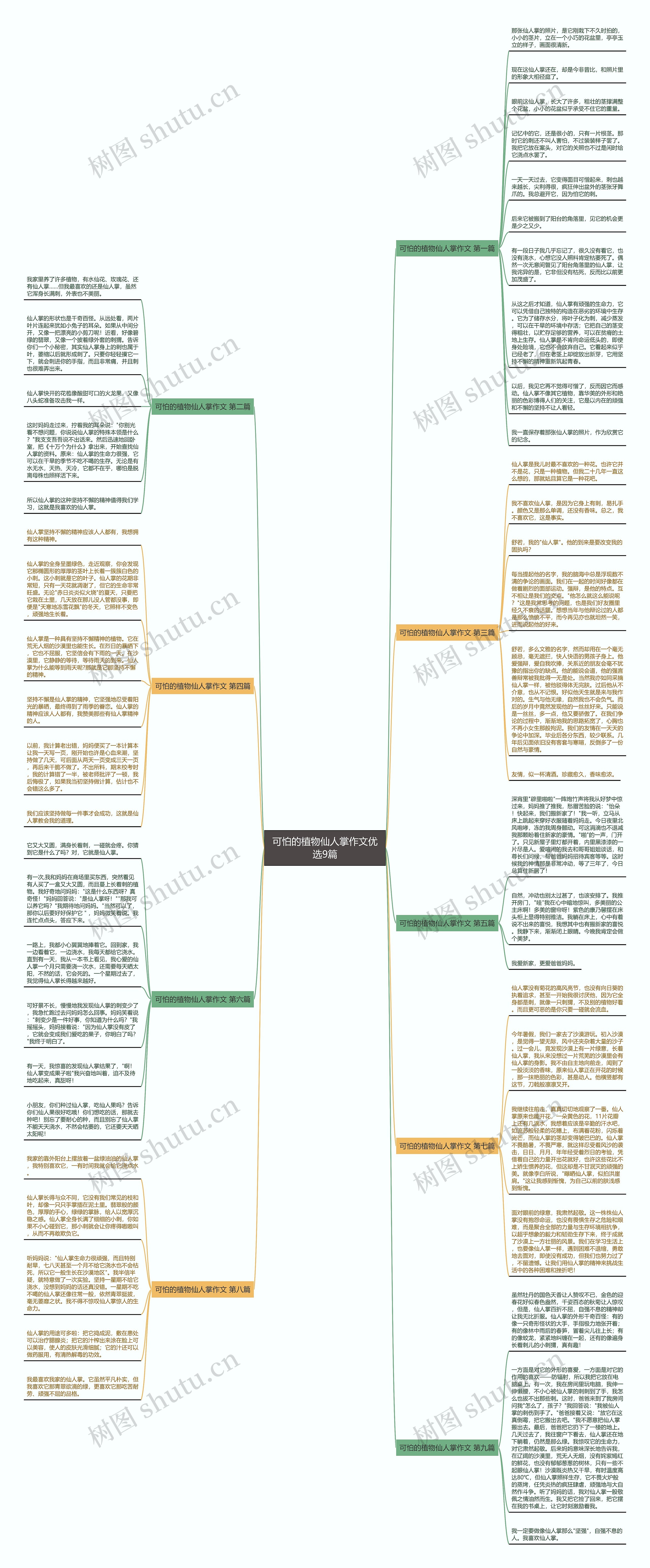 可怕的植物仙人掌作文优选9篇思维导图