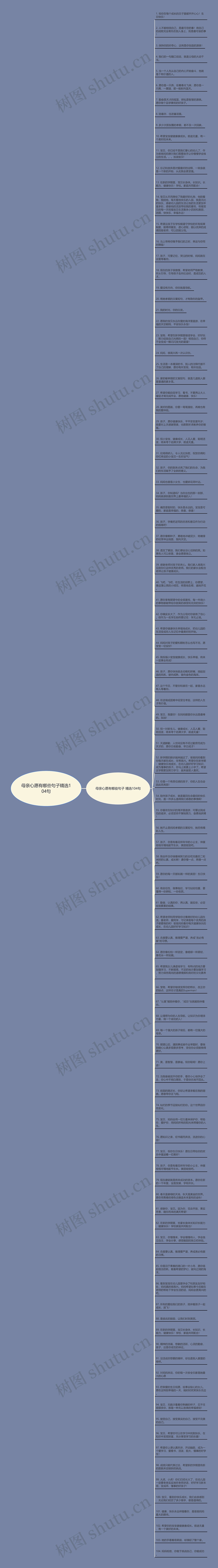 母亲心愿有哪些句子精选104句思维导图