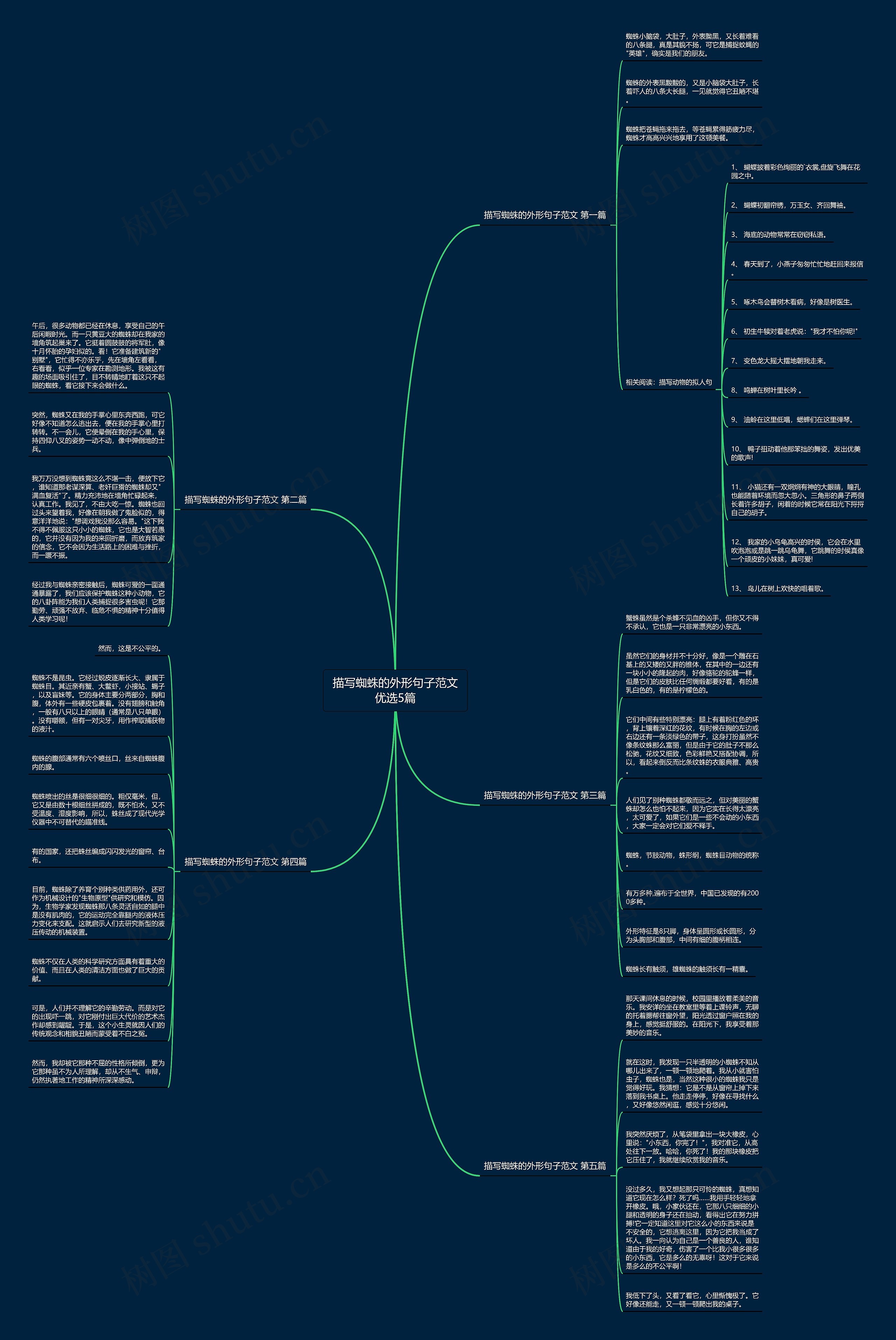描写蜘蛛的外形句子范文优选5篇思维导图