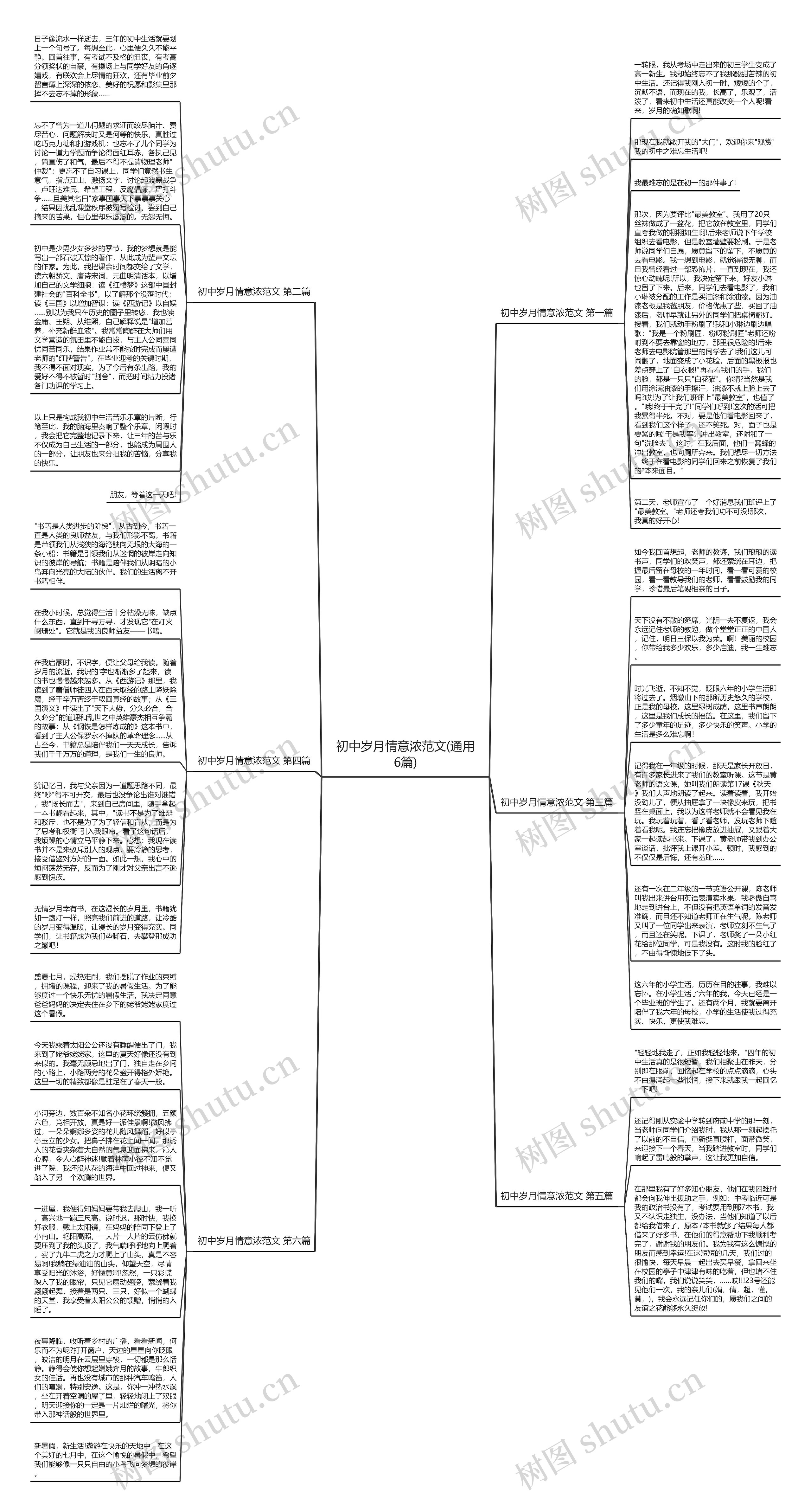 初中岁月情意浓范文(通用6篇)思维导图