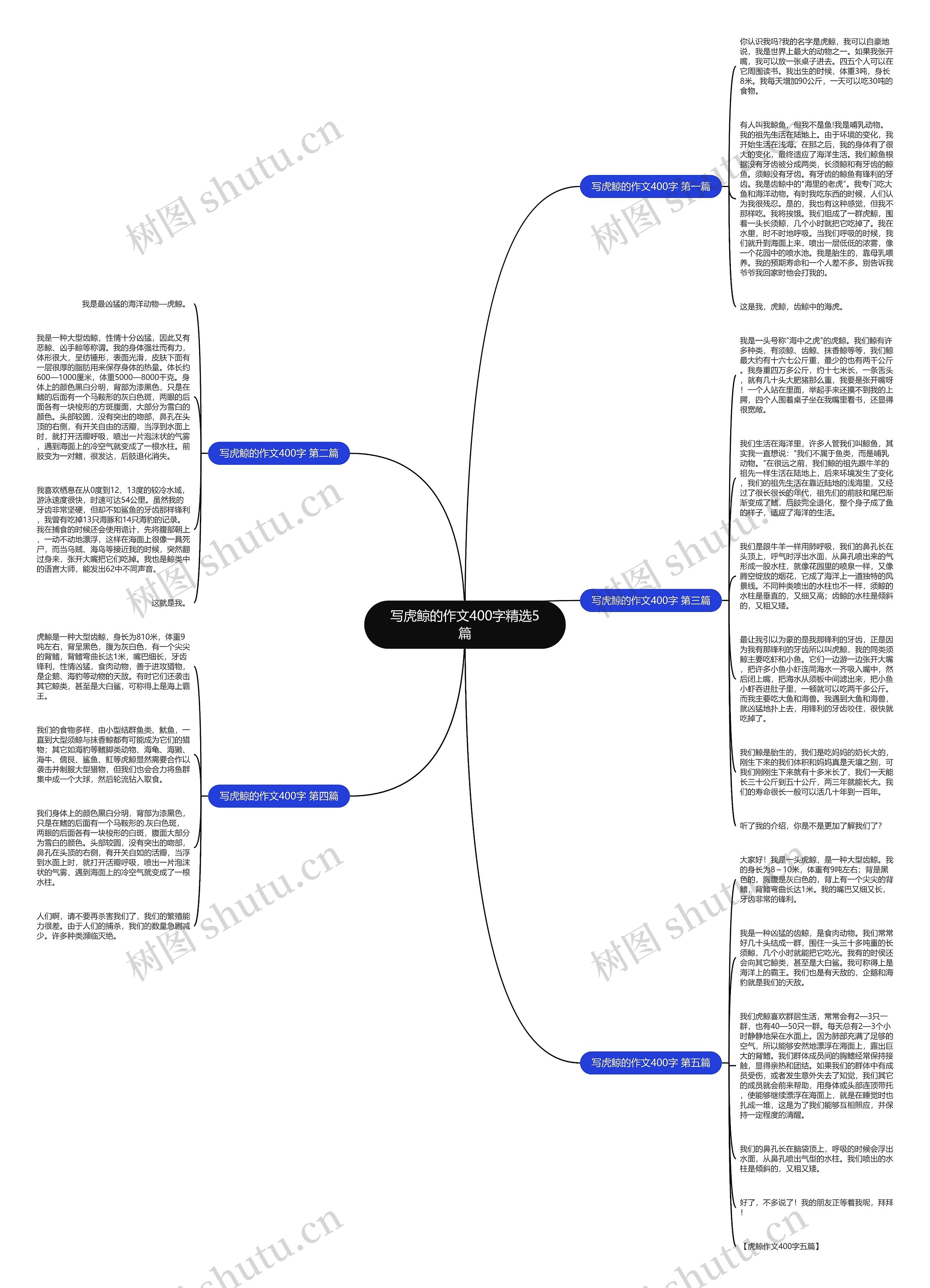 写虎鲸的作文400字精选5篇思维导图