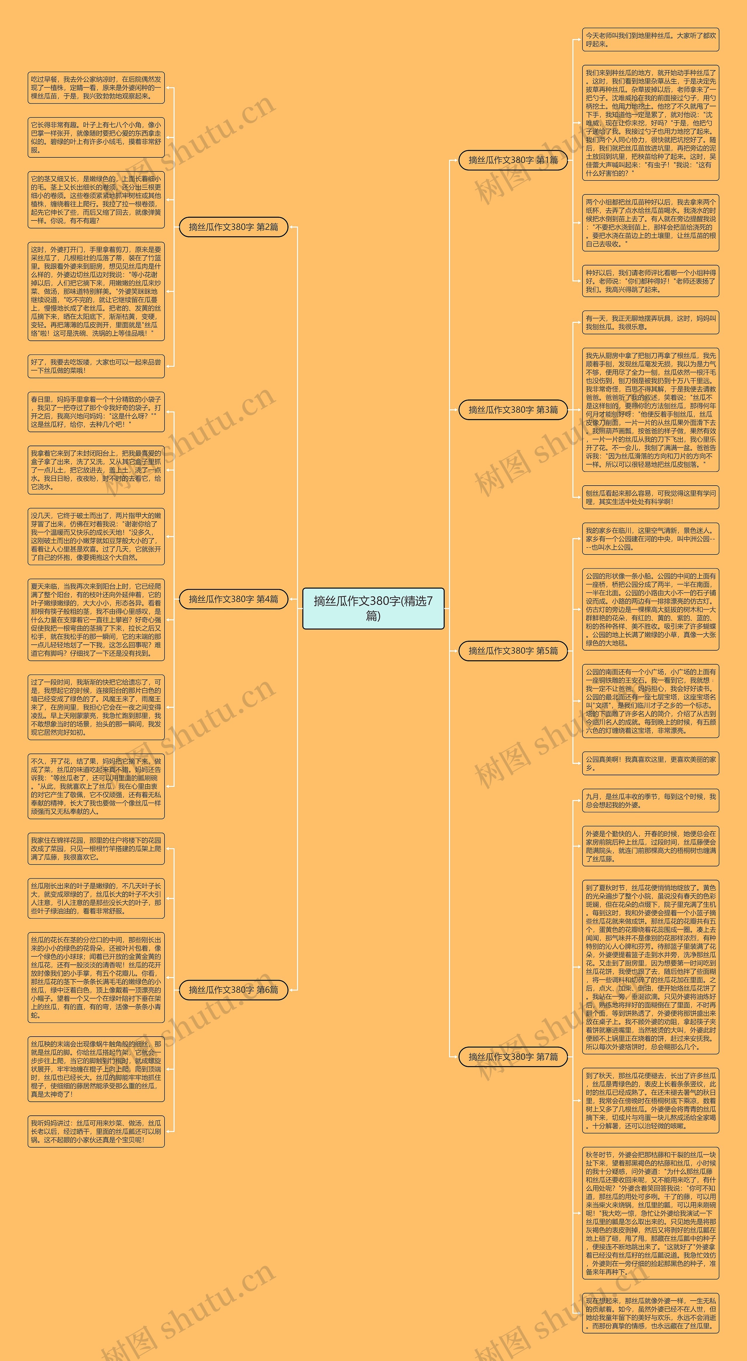 摘丝瓜作文380字(精选7篇)思维导图