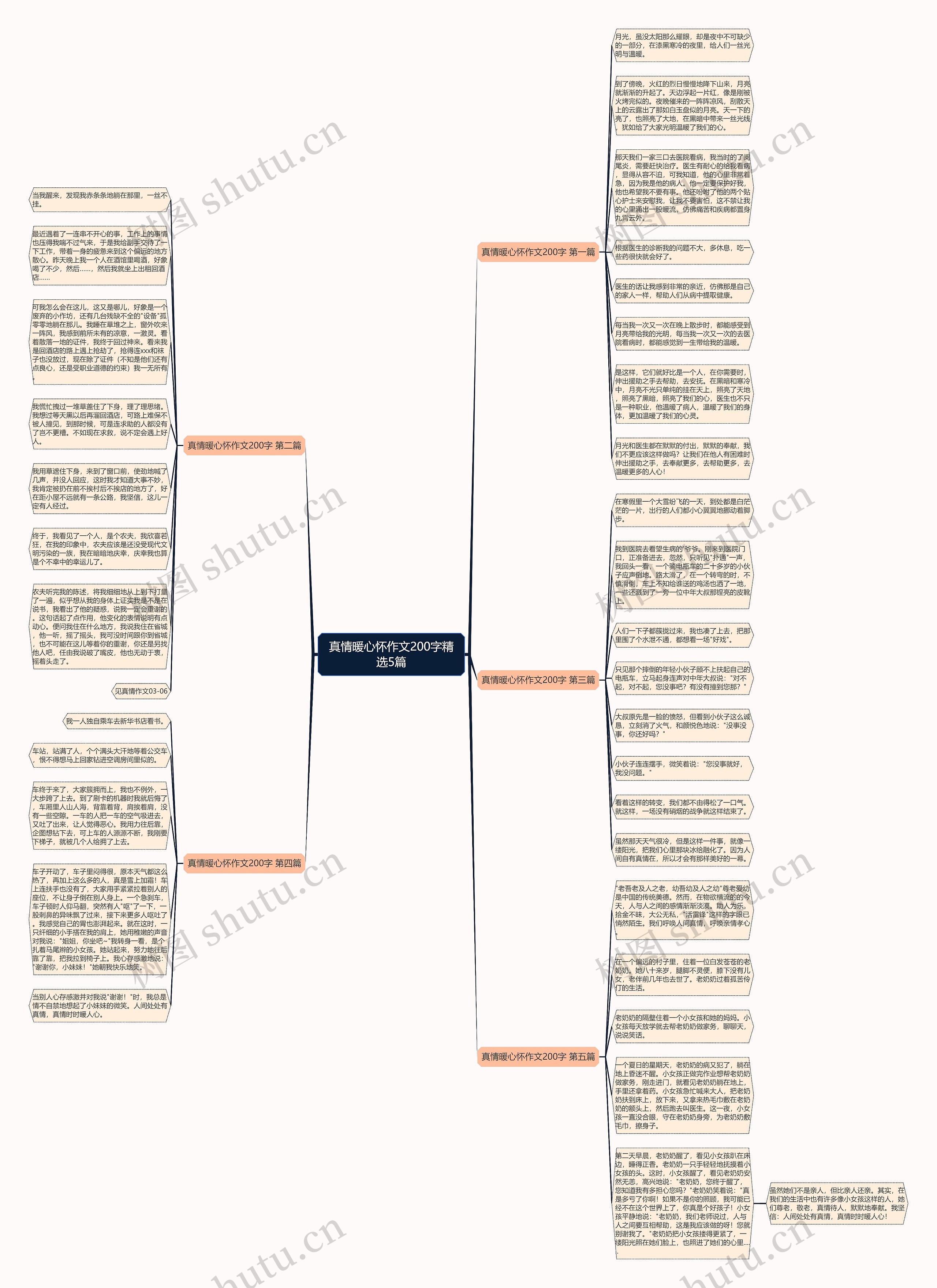 真情暖心怀作文200字精选5篇思维导图