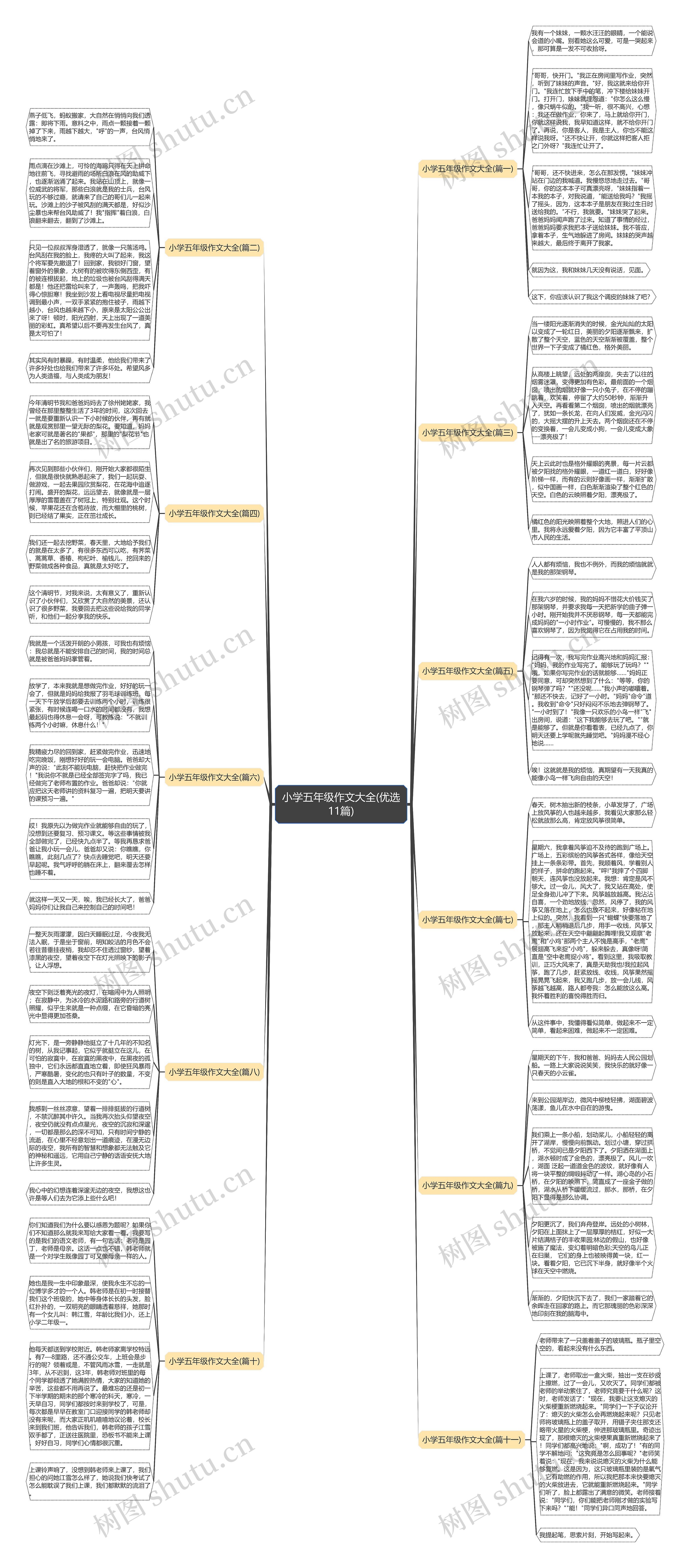 小学五年级作文大全(优选11篇) 小学五年级作文大全(优选11篇)